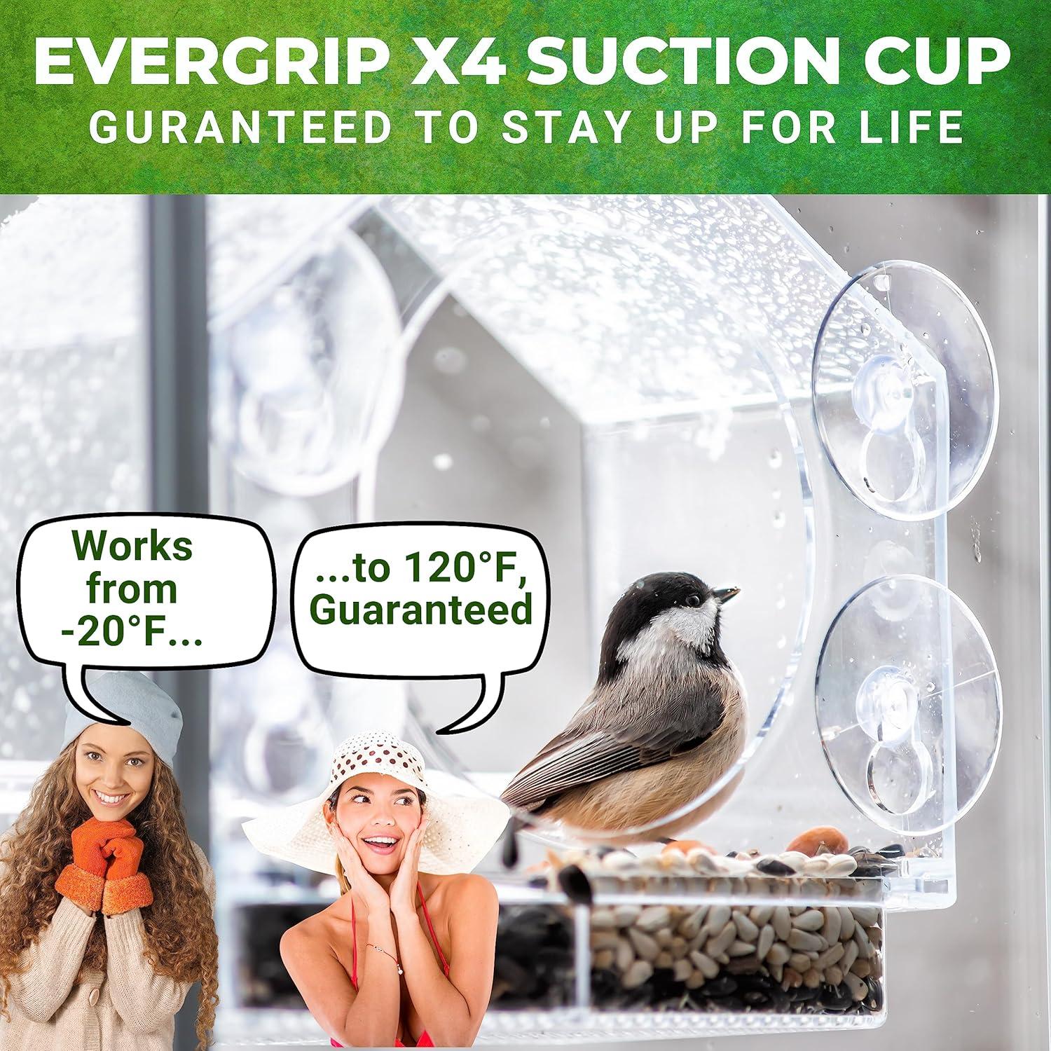 Comedero para Aves de Ventana Nature Anywhere BIV-GIFT 425g