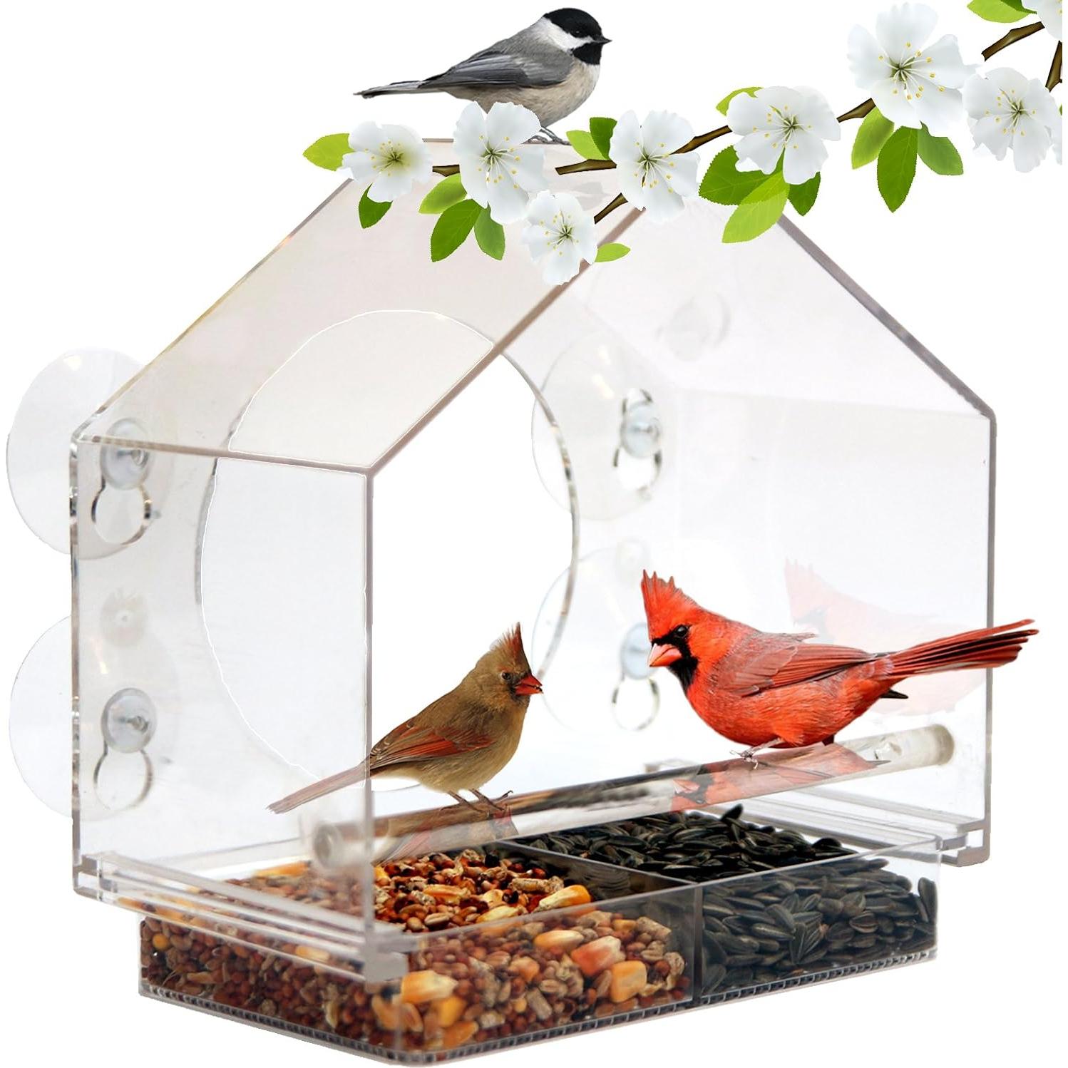 Comedero para Aves de Ventana Nature Anywhere BIV-GIFT 425g