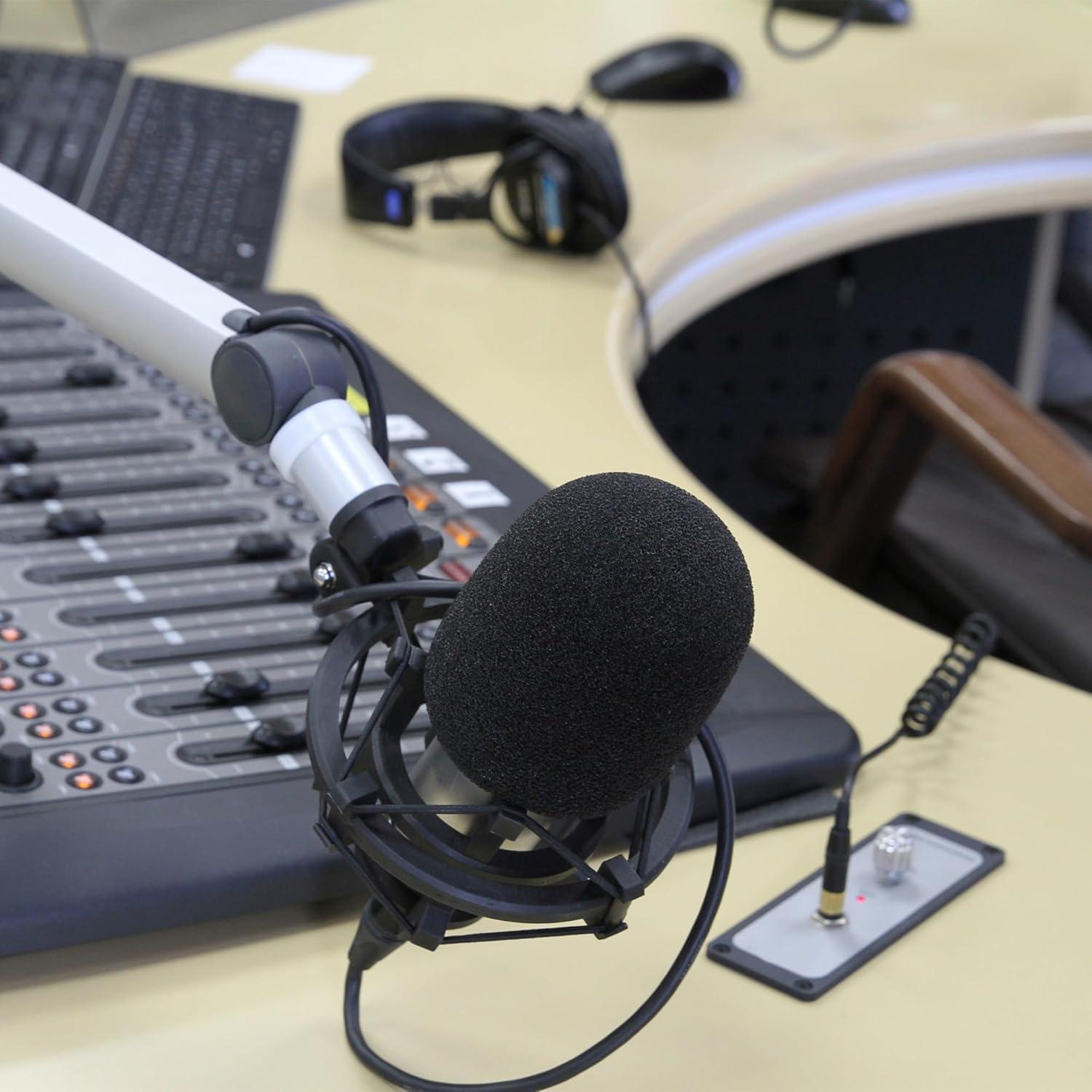 10 Fundas de Espuma para Micrófono Reutilizables Multicolor