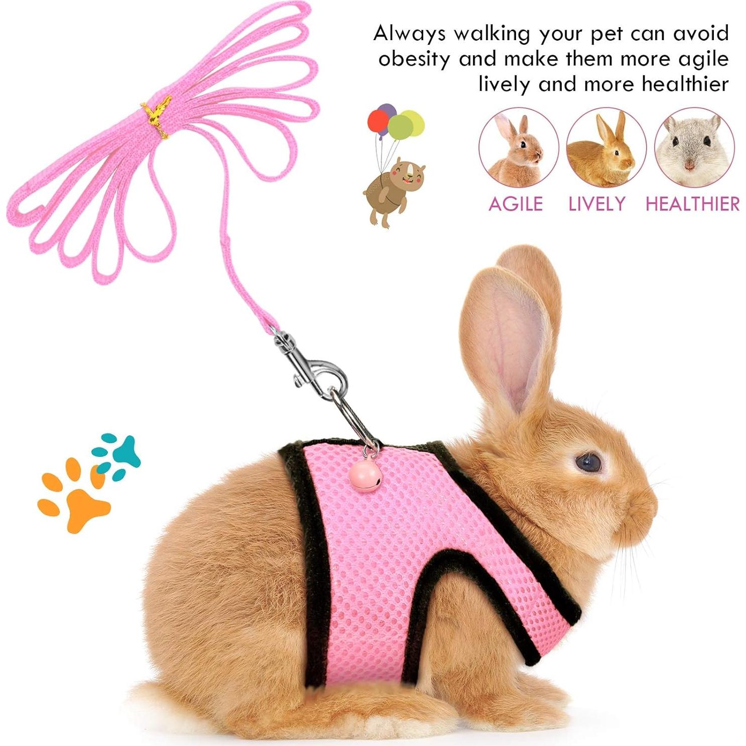 Arnés Suave para Cobayas SATINIOR con Correa y Campana XS