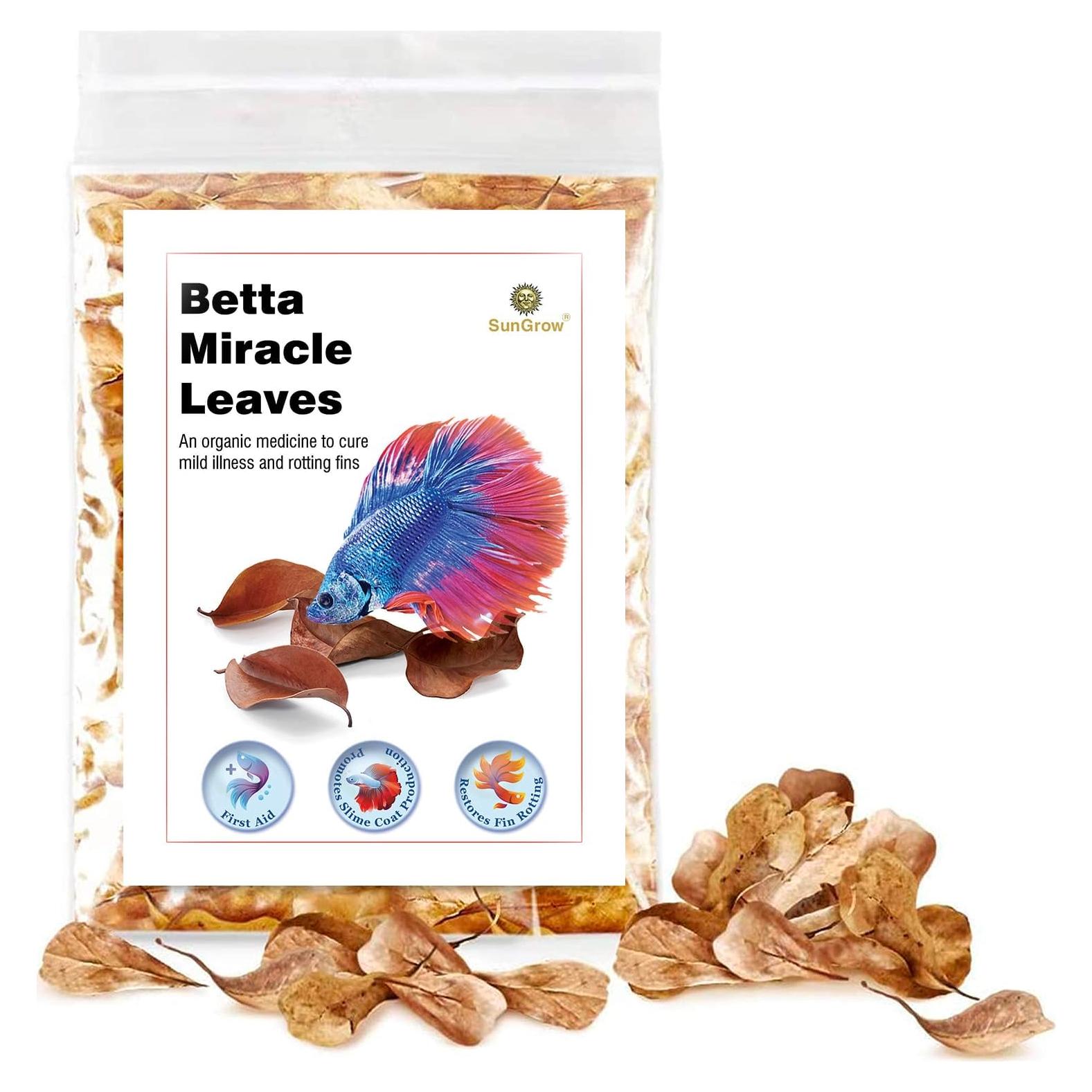 SunGrow 50 Hojas de Almendra India Catappa para Acuario 5.08 cm