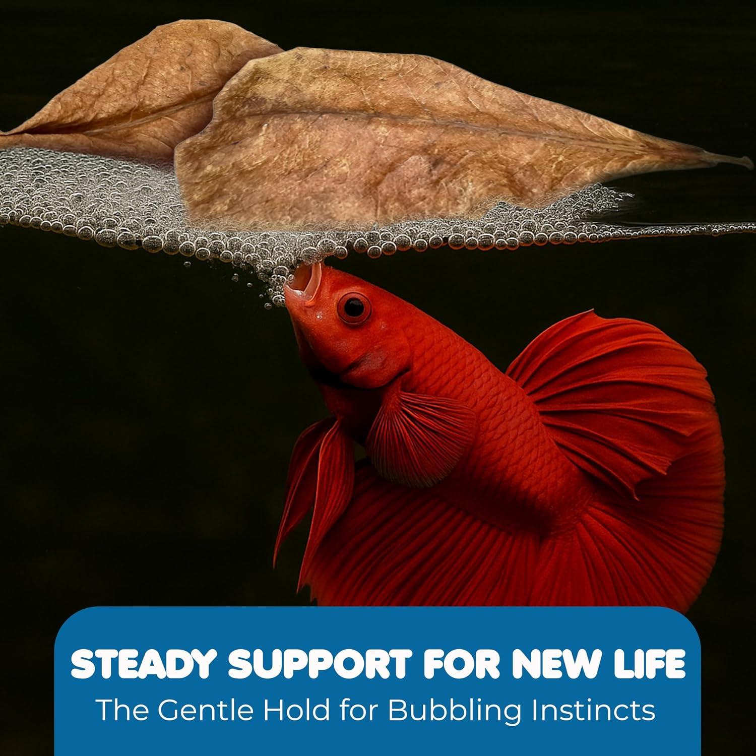 SunGrow 50 Hojas de Almendra India Catappa para Acuario 5.08 cm