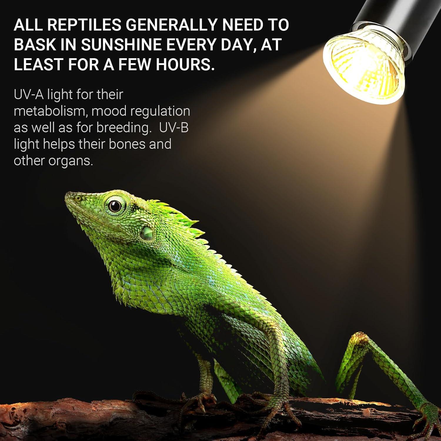 Bombillas de Calor UVA+UVB 25W CALPALMY para Reptiles