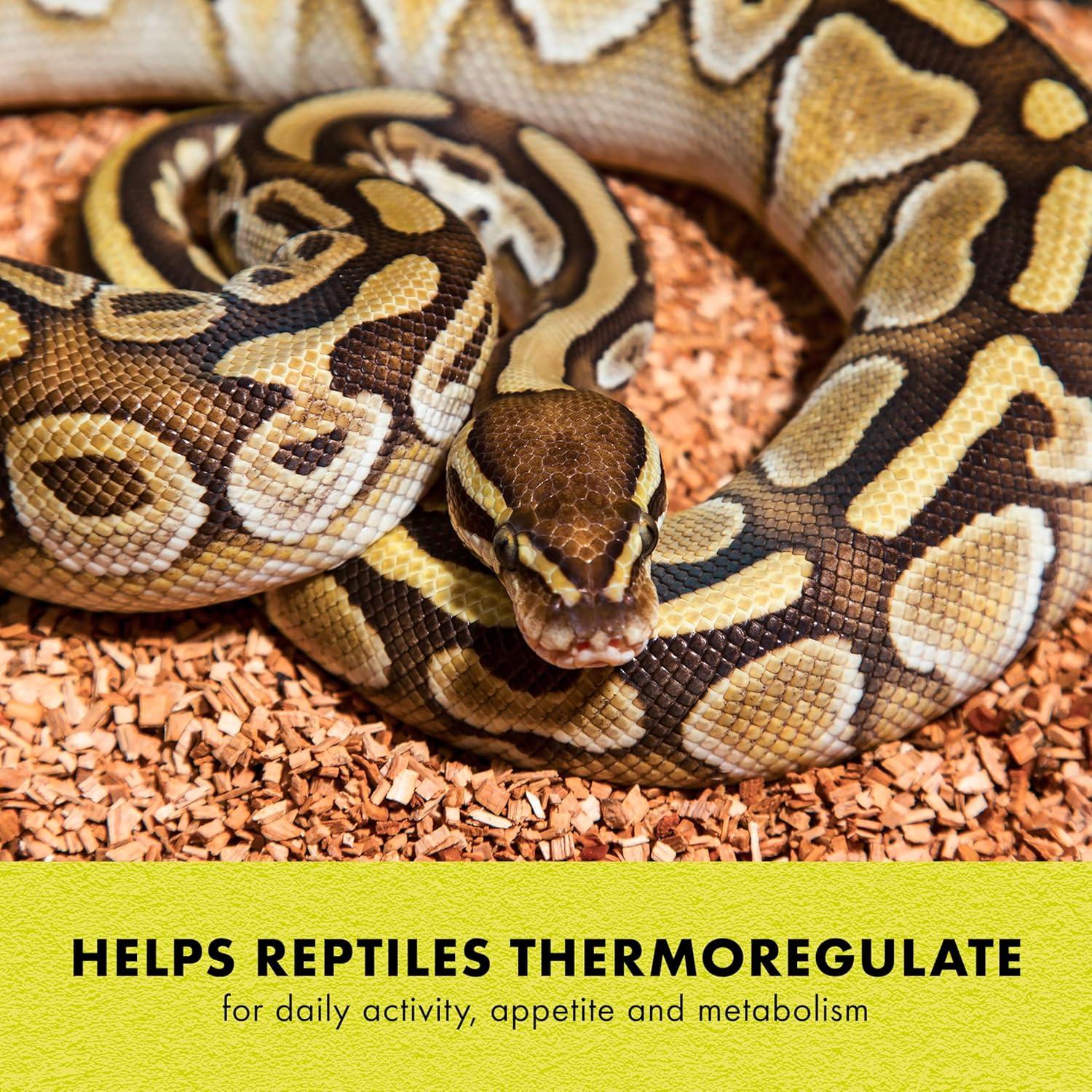 Zilla Calentador Mat Pequeño 8W para Terrarios 10-20 Galones