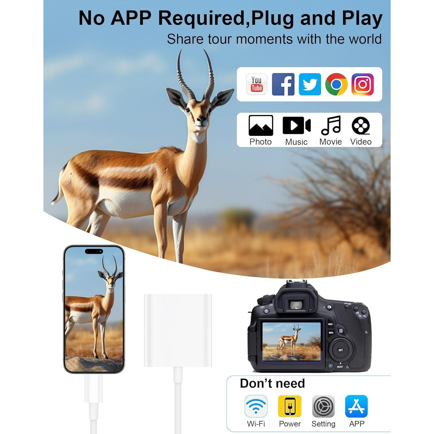 Lector de Tarjetas SD USB-C AILKIN para iPhone y Android