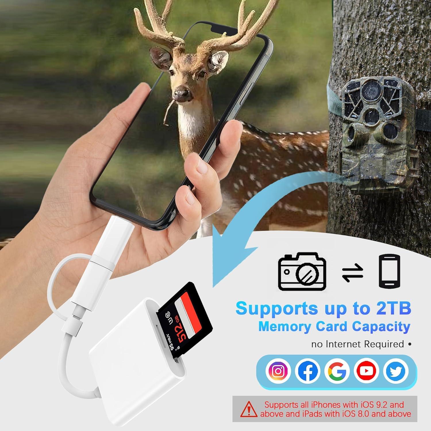 Lector de Tarjetas SD DCNETWORK 2 en 1 USB-C y Lightning