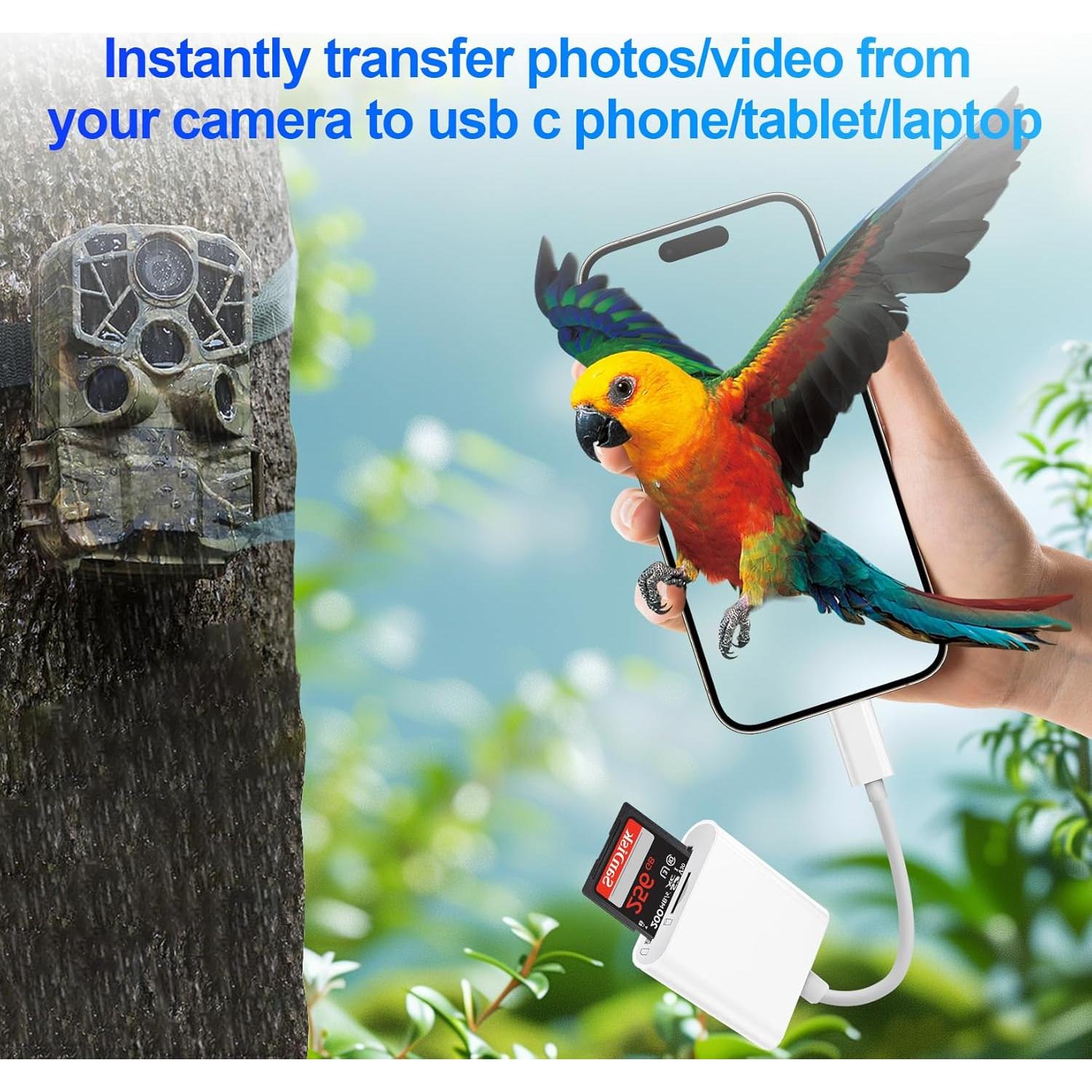 Lector de Tarjetas SD USB-C Denlane para iPhone 15/16 y iPad