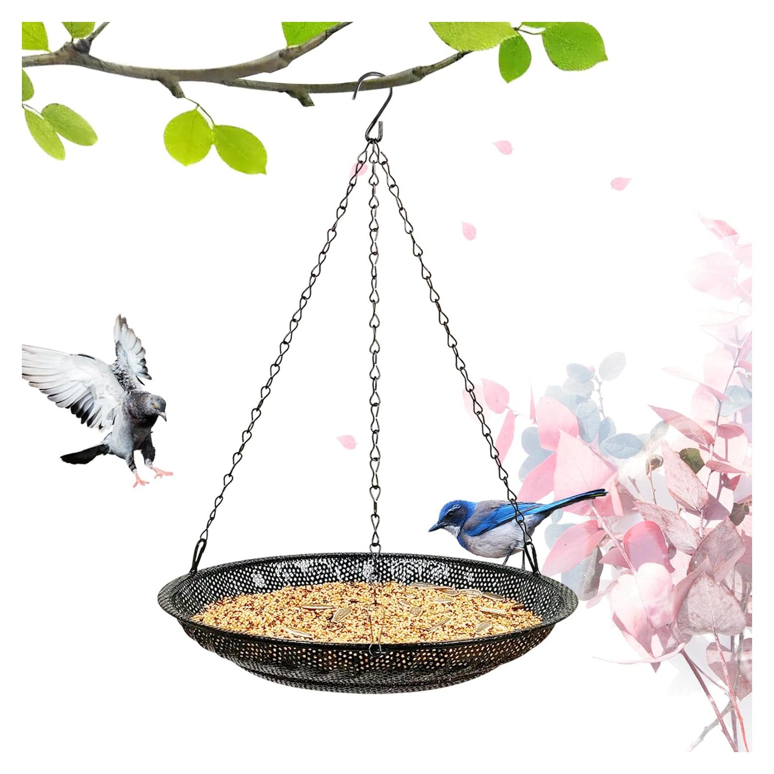 Bandeja de Comedero para Aves CQAIRIOU 30 cm Acero Inoxidable