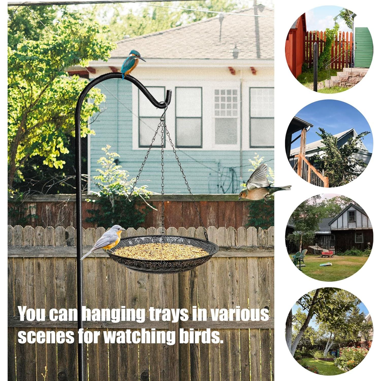 Bandeja de Comedero para Aves CQAIRIOU 30 cm Acero Inoxidable