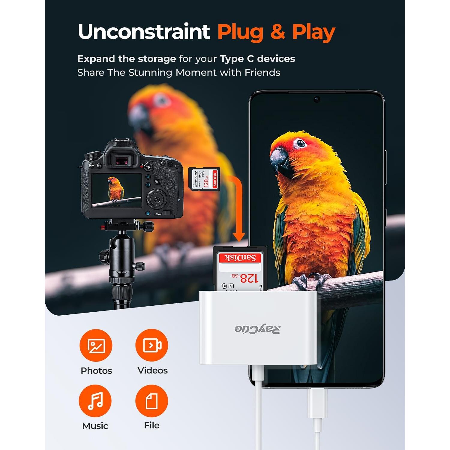 Lector de Tarjetas SD USB-C RayCue - Adaptador Type-C a SD/MicroSD