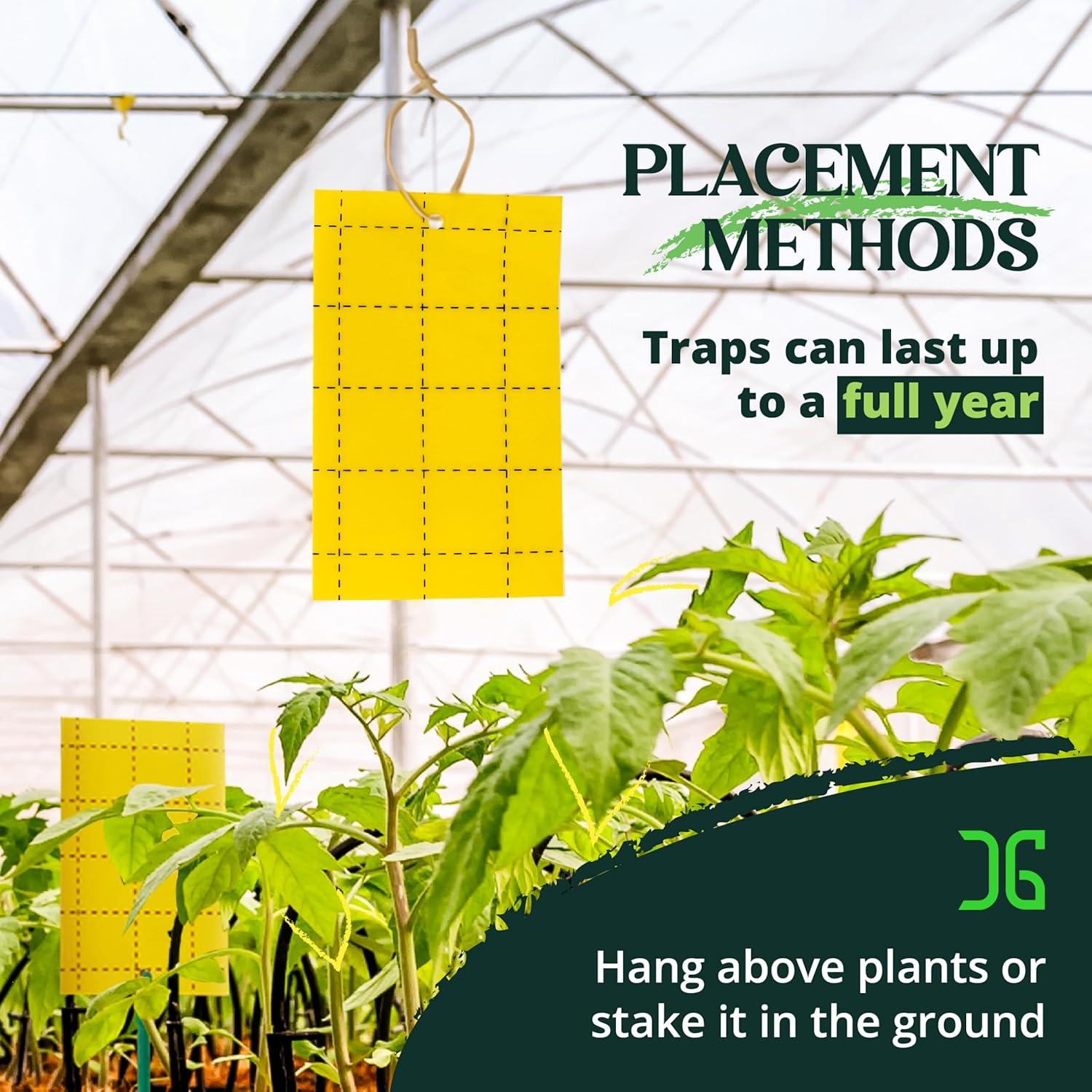 Trampas Adhesivas Doble Cara Catchmaster 36 Unidades Amarillas