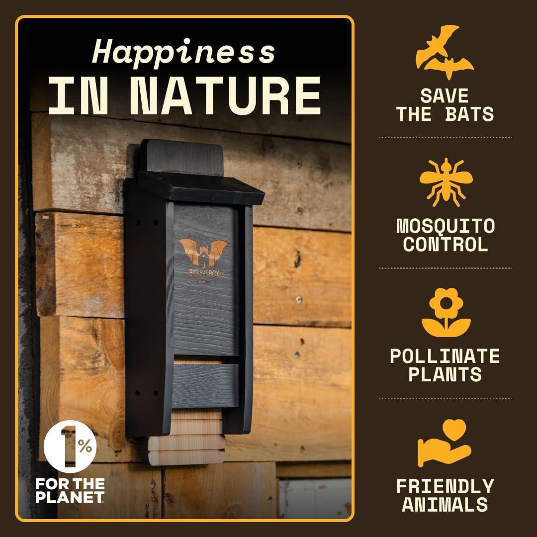 Casa de Murciélagos WildYard 1 Cámara Negra para Exteriores