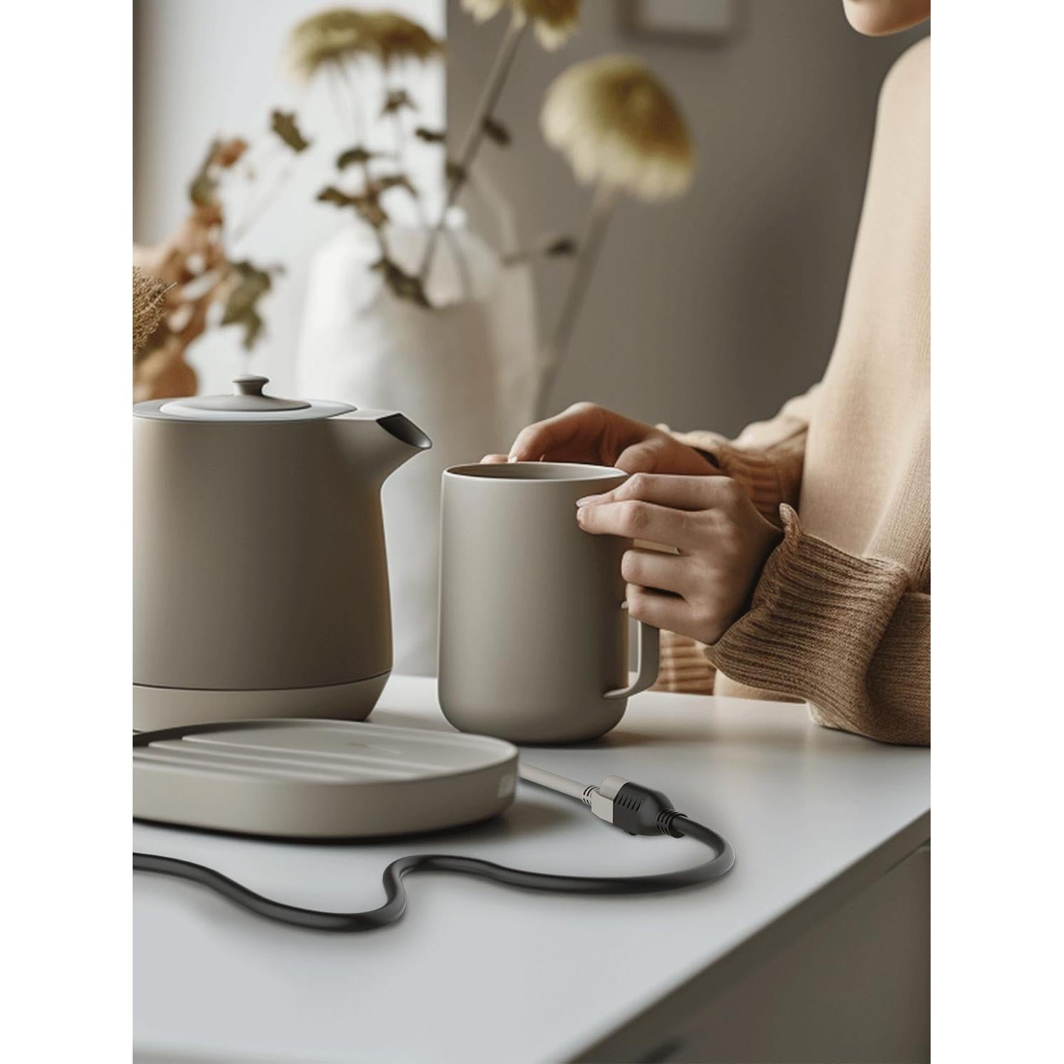 Cable de Extensión Negro PLUGTUL 1 Pie 16 AWG 2 Unidades