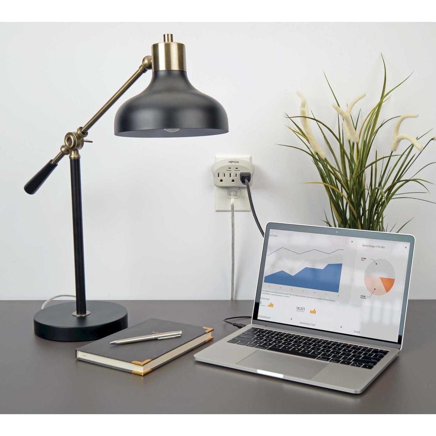 Protector de Sobretensión Tripp Lite SK3-0, 3 Salidas, 660 Julios