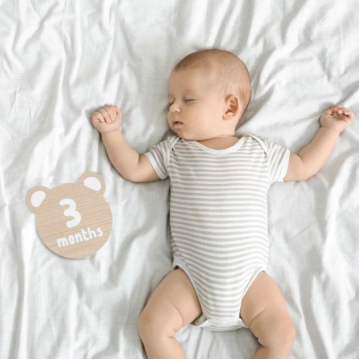 Discos de Hito de Madera Kate & Milo Oso 10.16 cm 6 Piezas