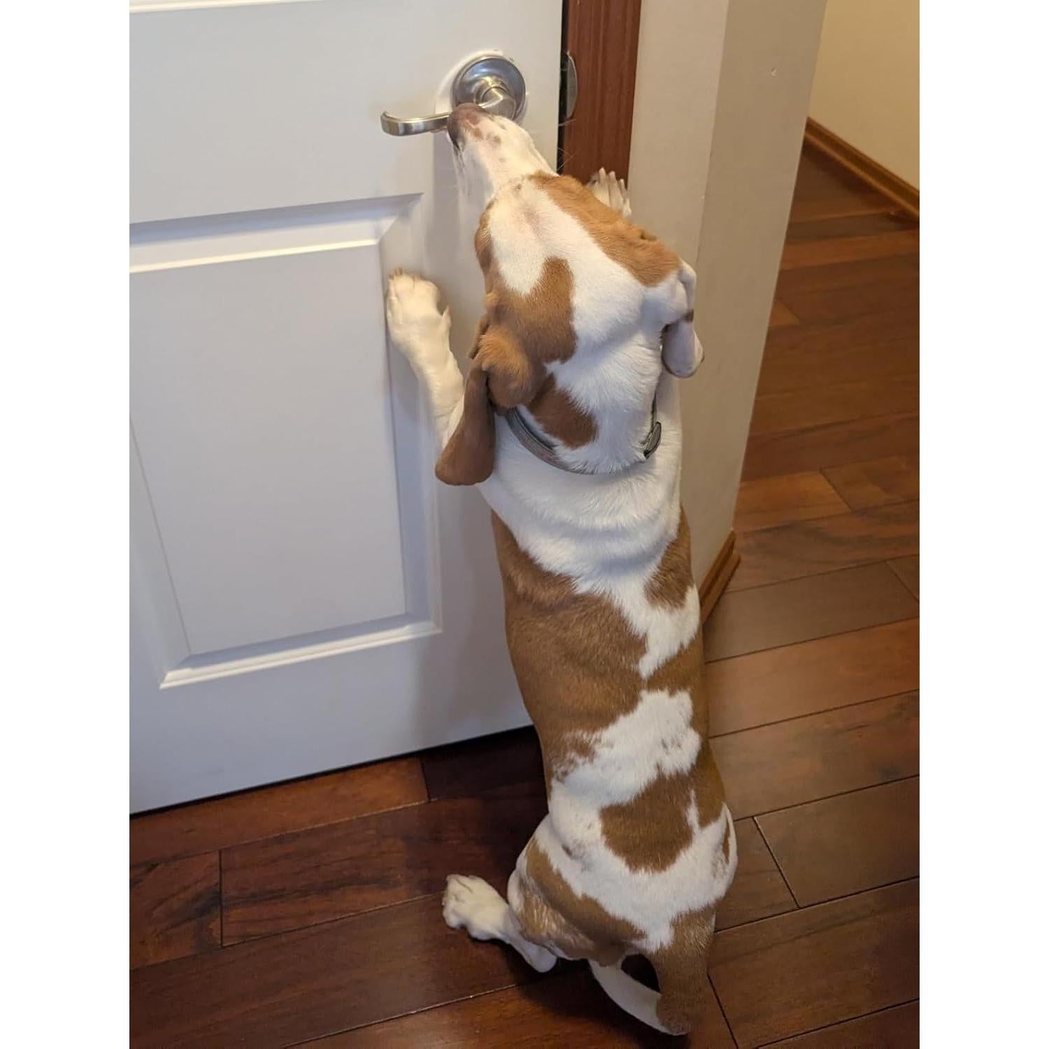 Bloqueo de Palanca de Puerta a Prueba de Niños y Mascotas - 4 Unidades Círculo Blanco