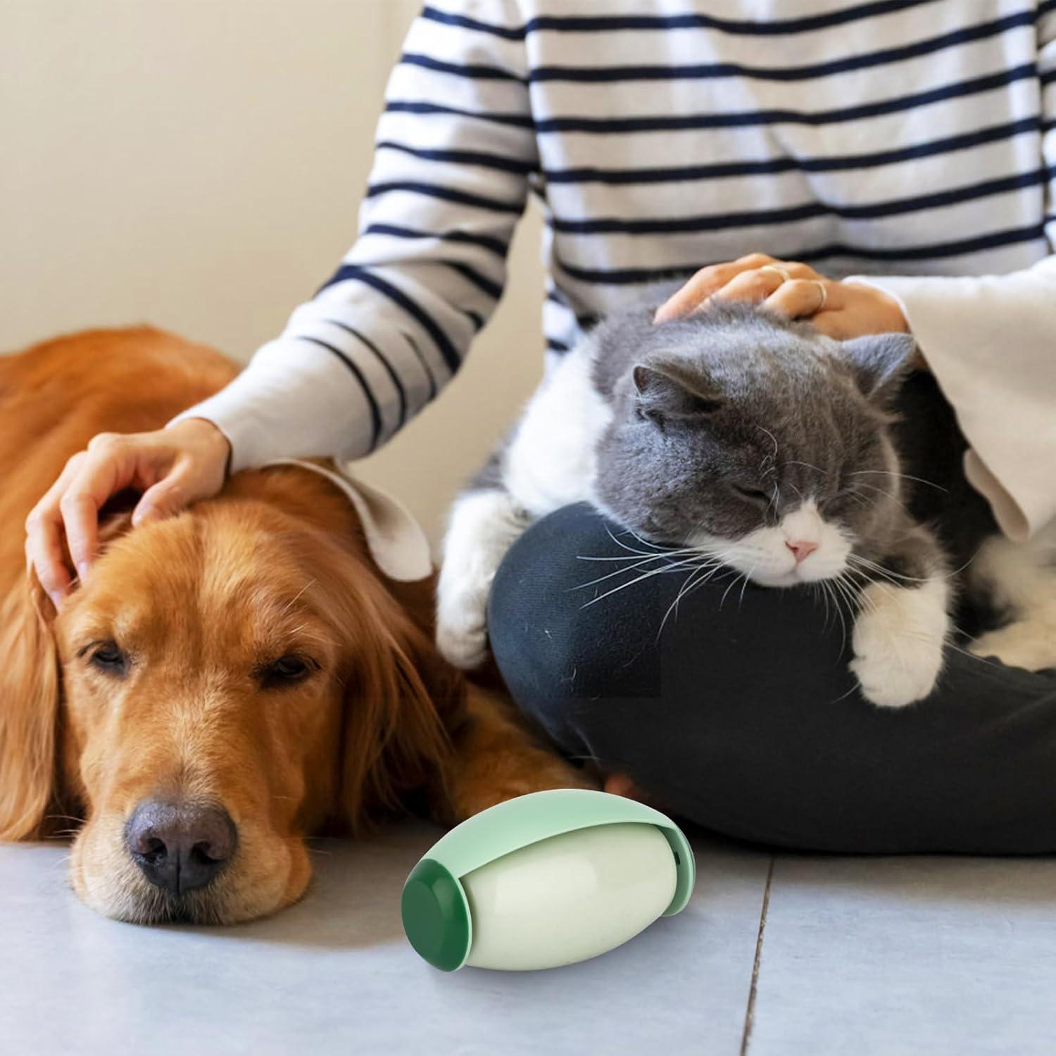 Rodillo de Pelusa Reutilizable NQEUEPN Mini Verde 10.2cm