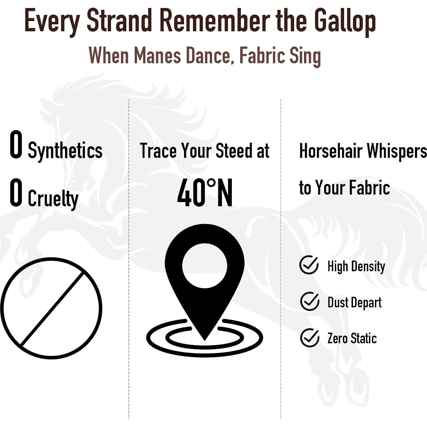 Kit de Cepillos para Zapatos Euvia - 3 Piezas de Cuero y Ante