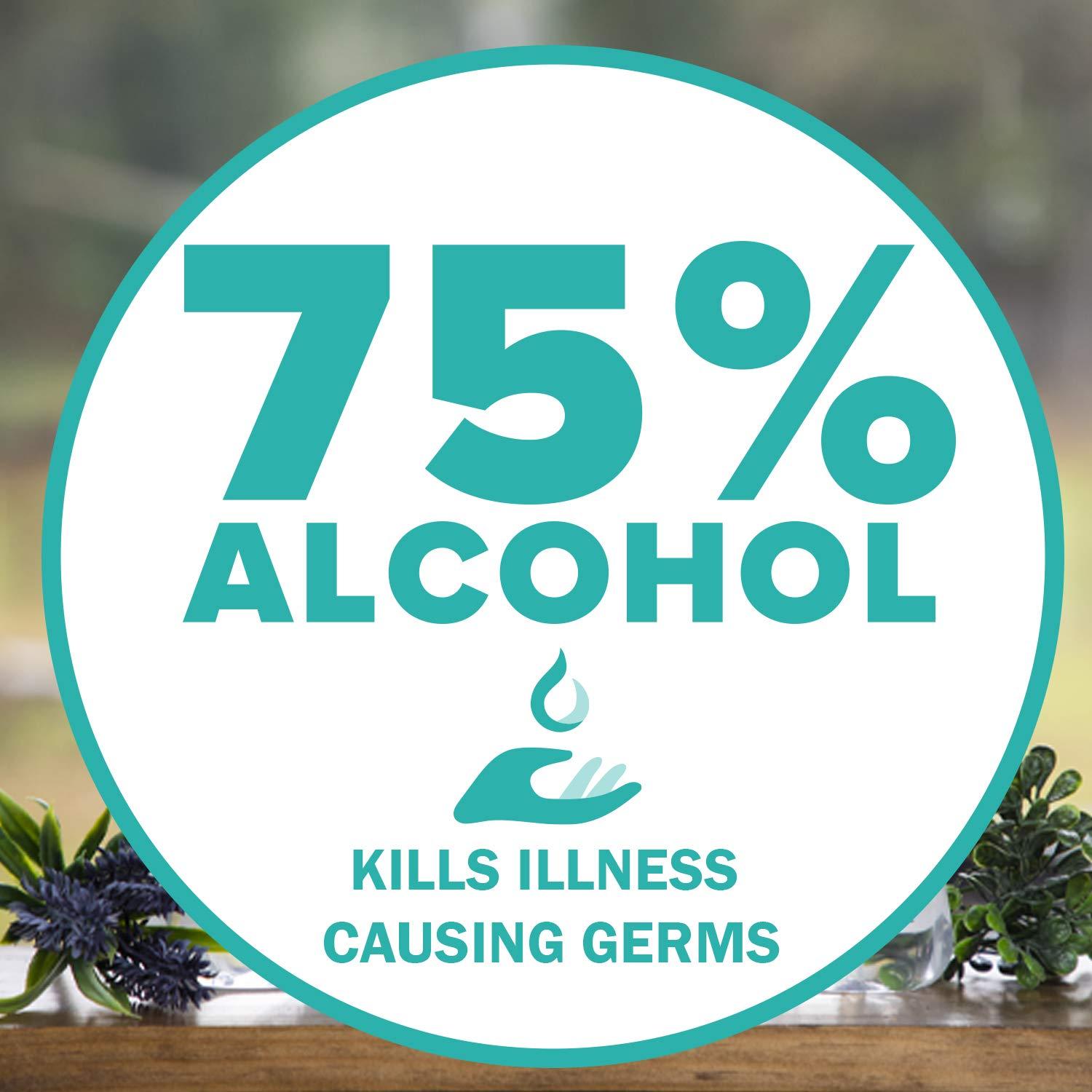 Gel Desinfectante de Manos Dr. Talbot 250 ml Sin Fragancia