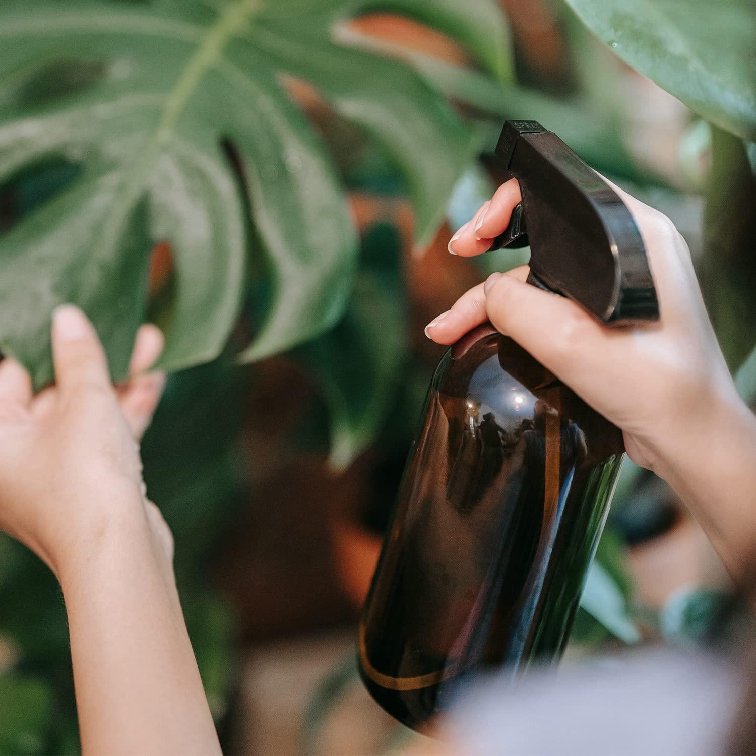 Botella de Spray de Vidrio Ámbar Wedama 480ml Ajustable