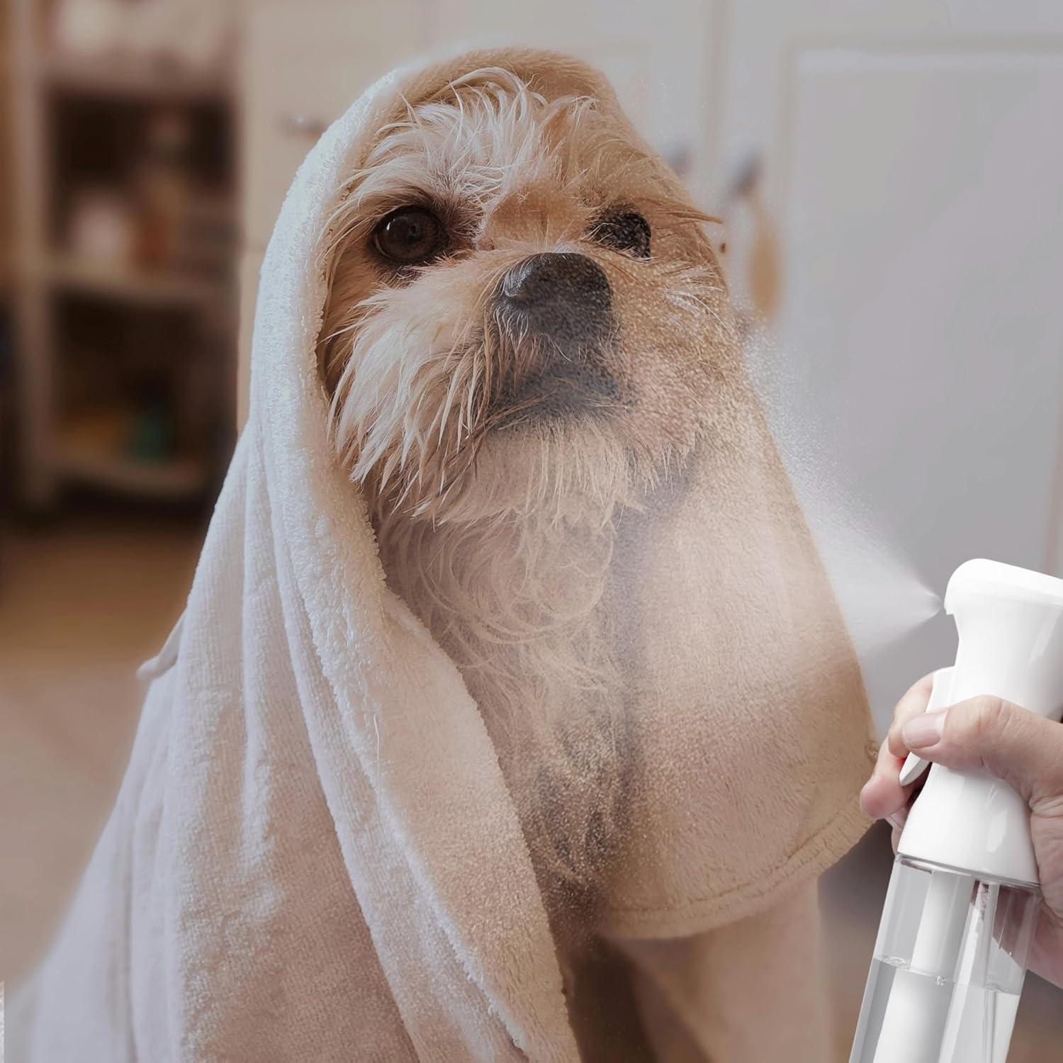 Botella Spray Continuo HPPFFY 200ml Blanca para Cabello y Plantas