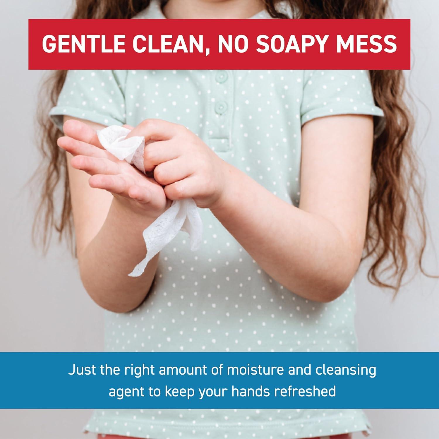 Toallitas Desinfectantes WipeEssentials - 90 Unidades - Viaje