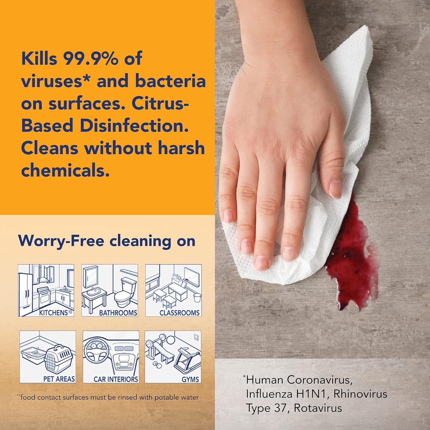 Toallitas Desinfectantes Arm & Hammer Essentials 220 Unidades