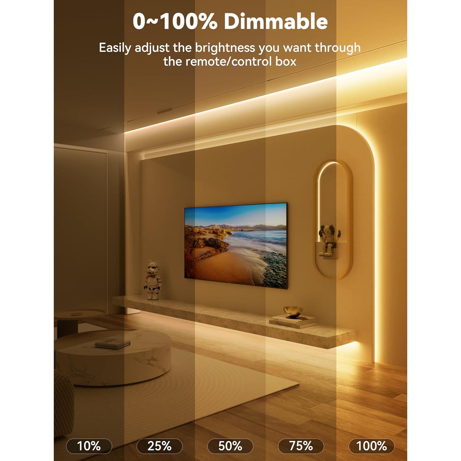 Tira LED COB PAUTIX 5m 2700K Regulable con Control Remoto