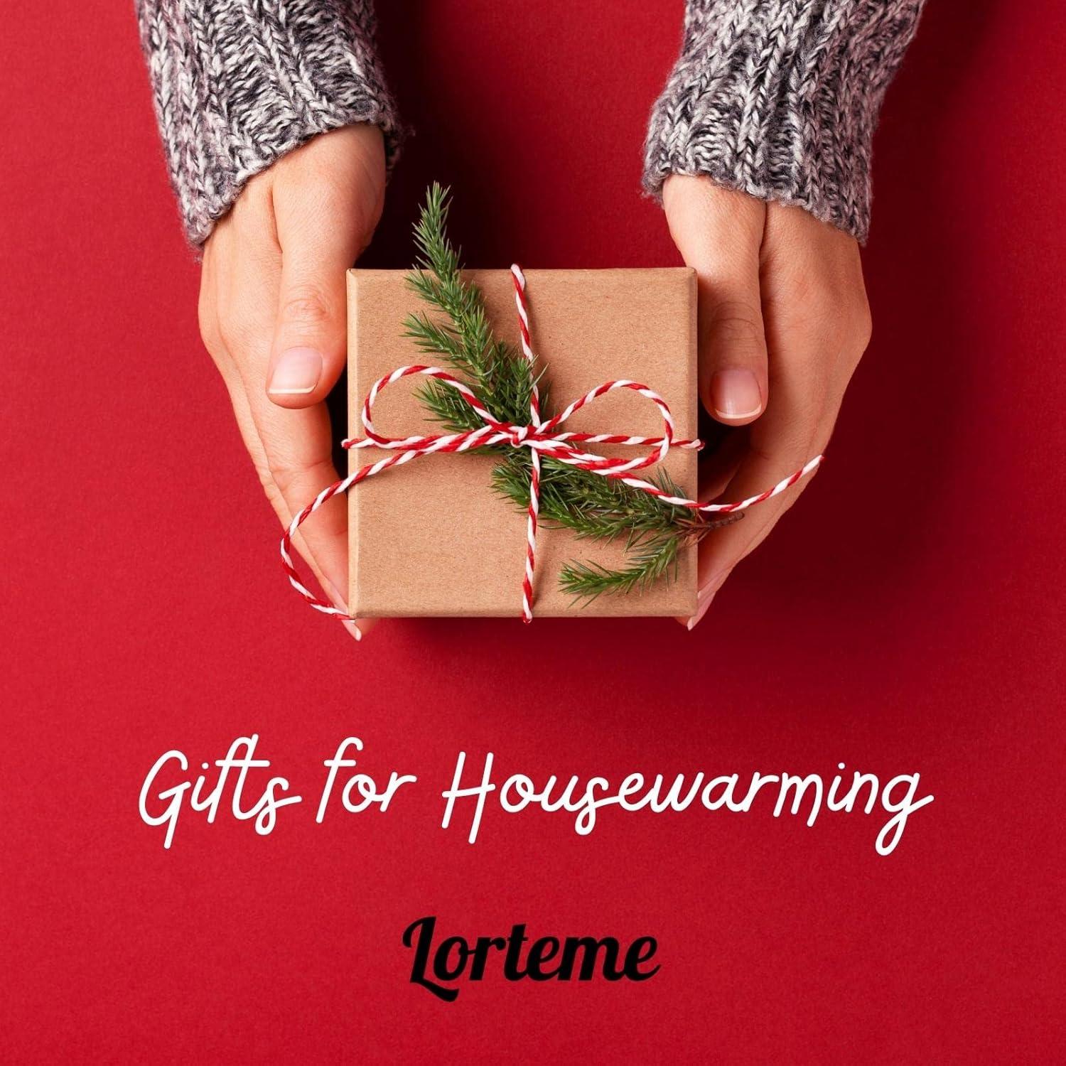 Soporte Organizador de Escritorio Lorteme Negro Giratorio 14cm