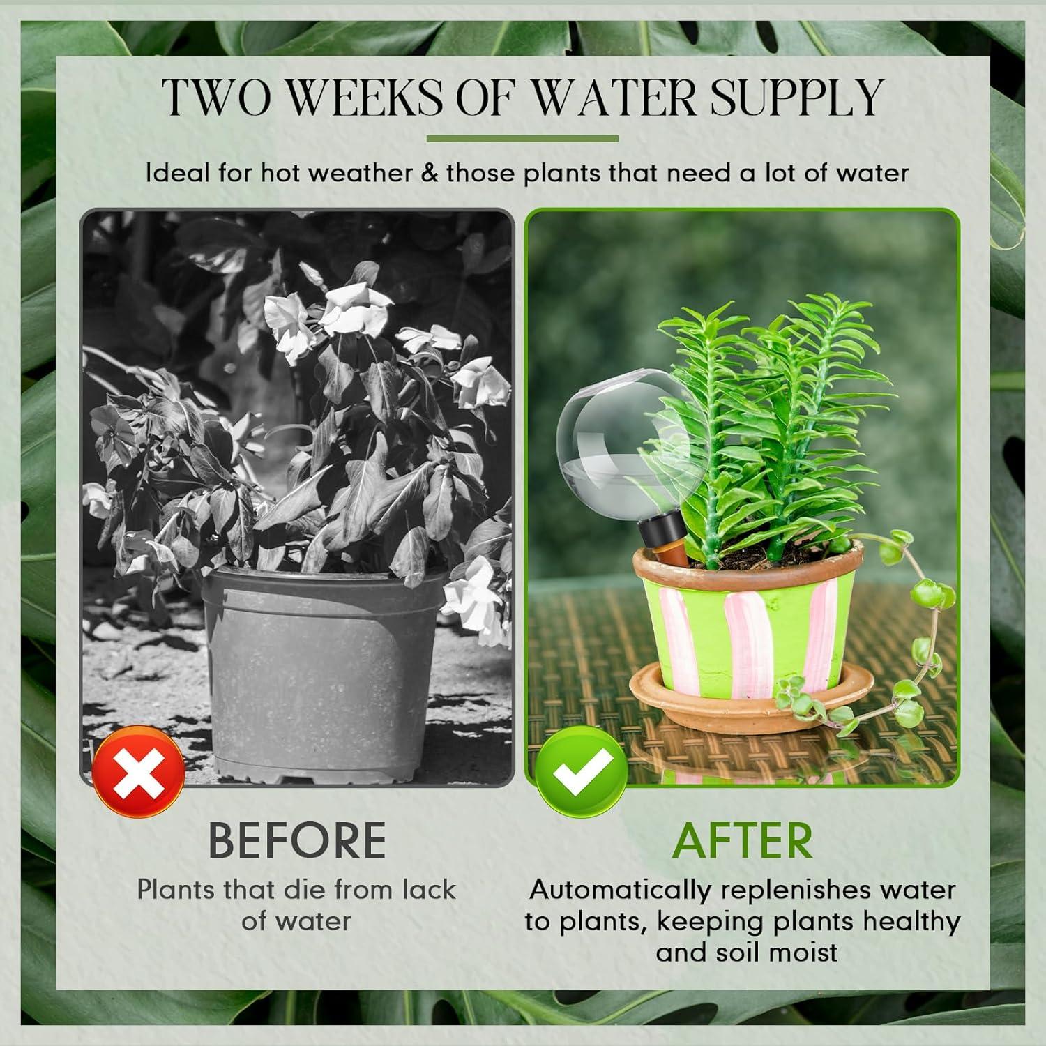 Esferas de Riego Automáticas Domensi 500 ml para Plantas