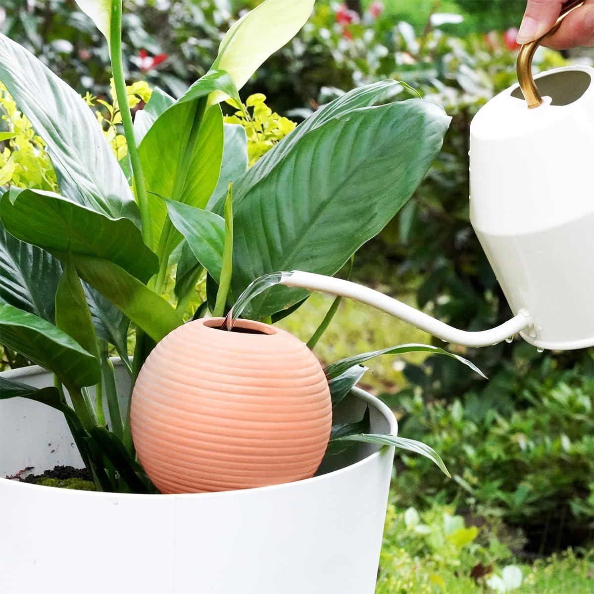 Juego de 4 Esferas de Riego Eusbon 414ml para Plantas