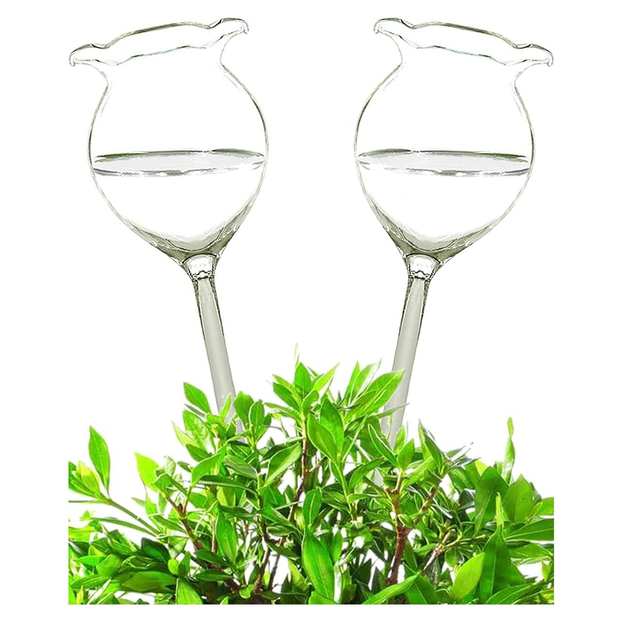 Dispositivo de Riego Automático Adabocute 2 Esferas de Vidrio 250ml