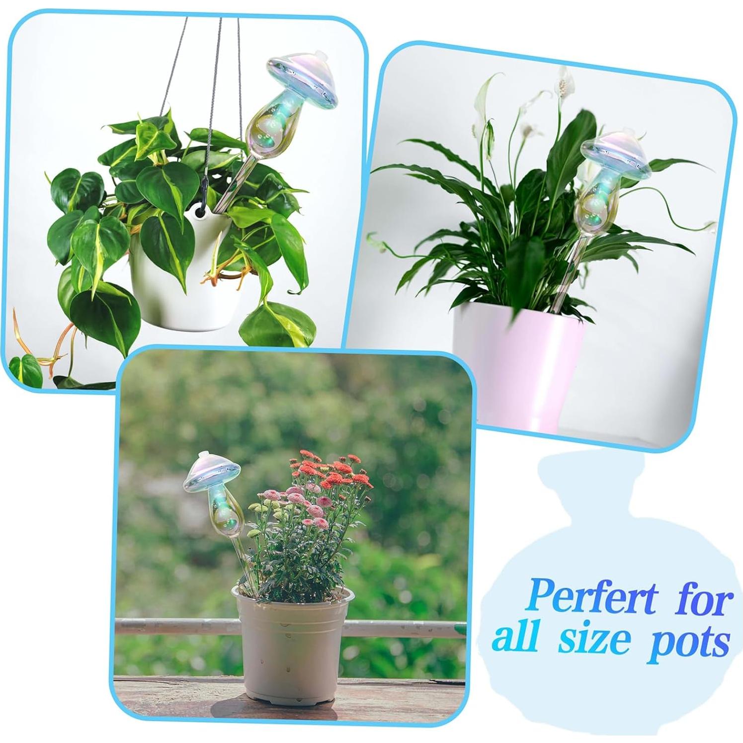 Esferas de Riego Vodhord para Plantas - Paquete de 4, Vidrio