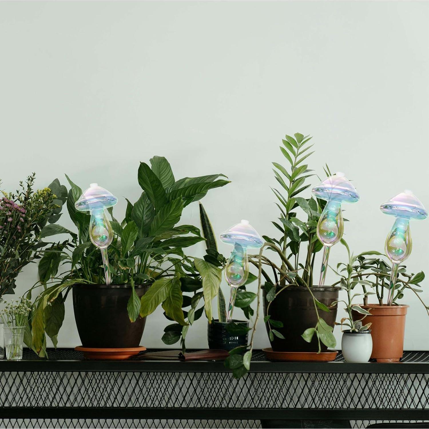 Esferas de Riego Vodhord para Plantas - Paquete de 4, Vidrio