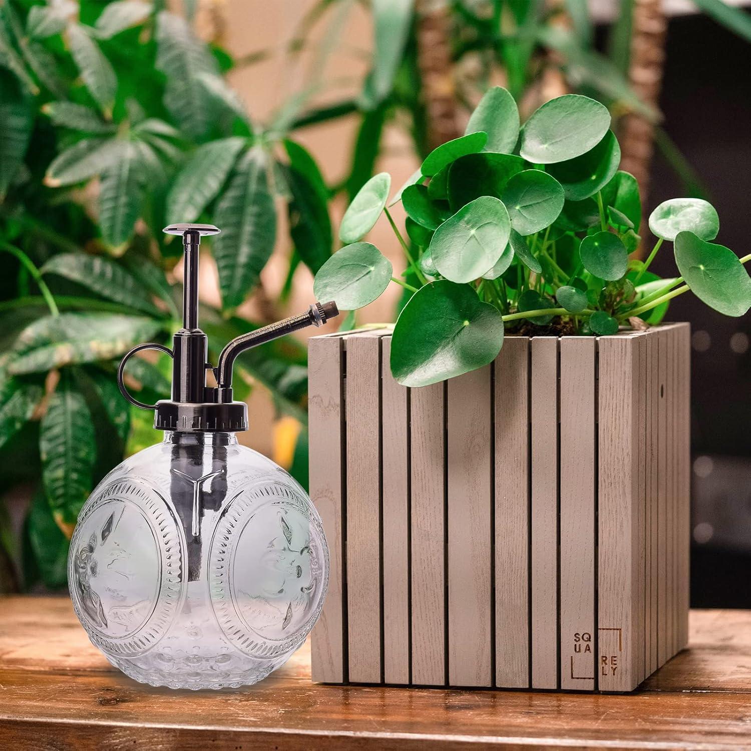 Juego de 3 Esferas de Riego Automático Ltzmcmy de Vidrio 473ml