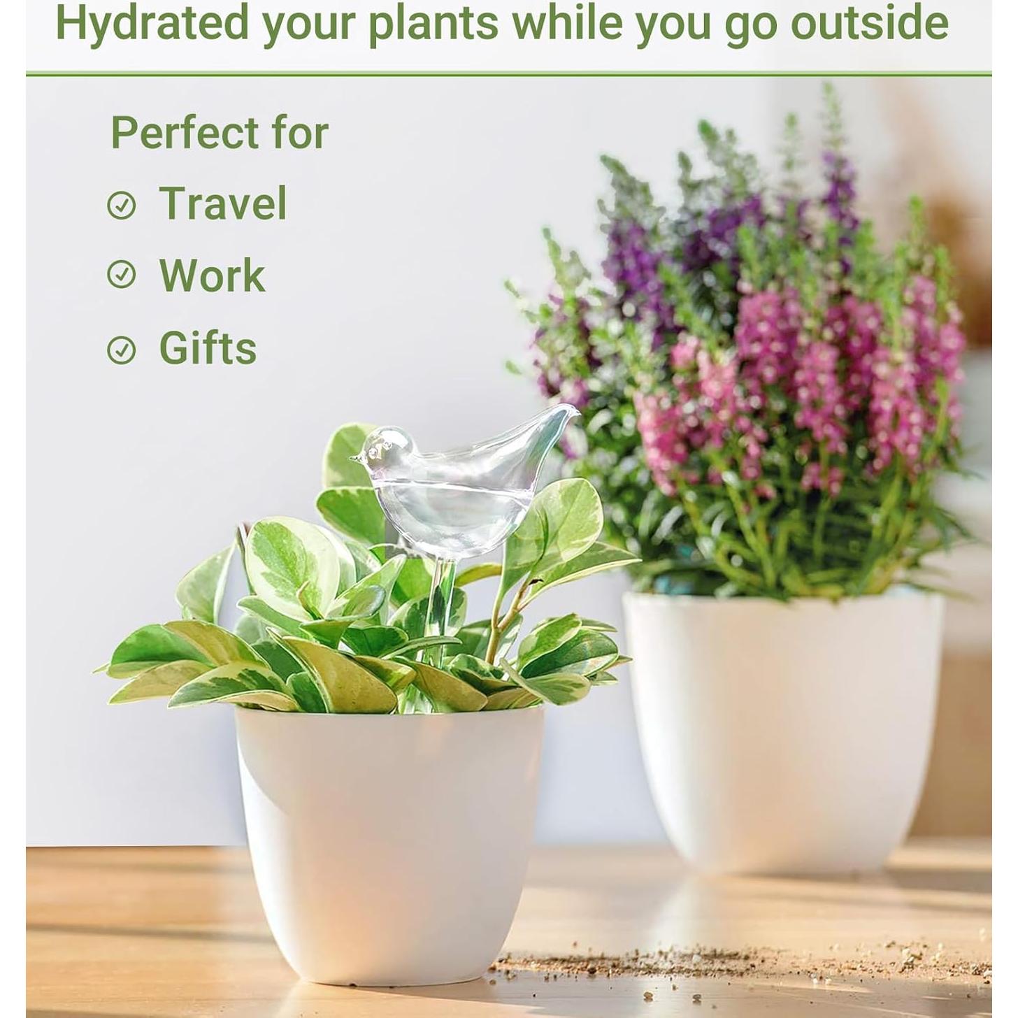 Esferas de Riego Automático Mkono - 2 Bombillas de Vidrio 25.4 cm