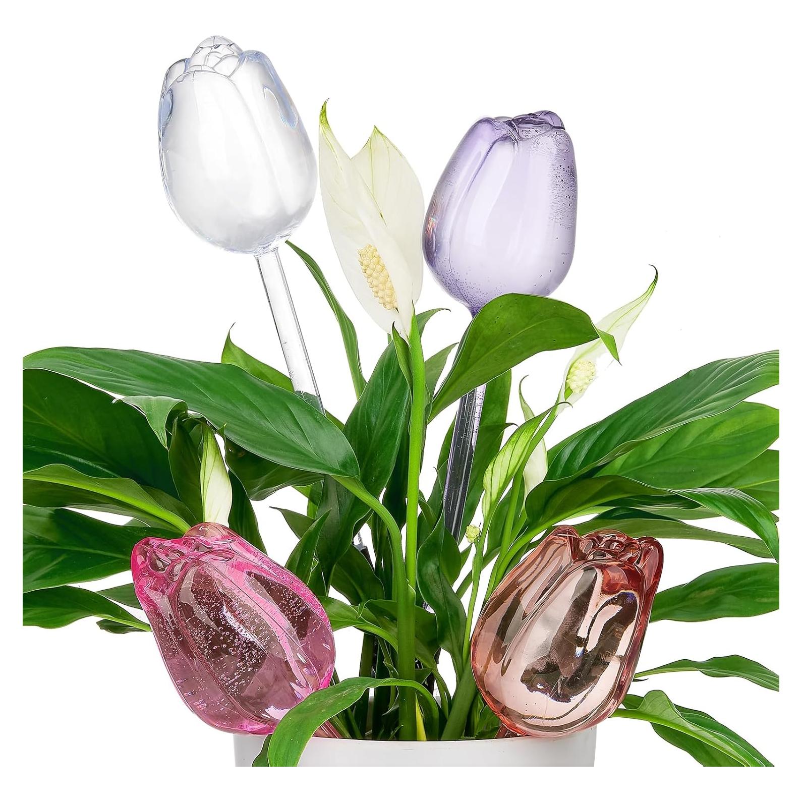 Esferas de Riego Automático Adoric para Plantas - 4 Tulipanes