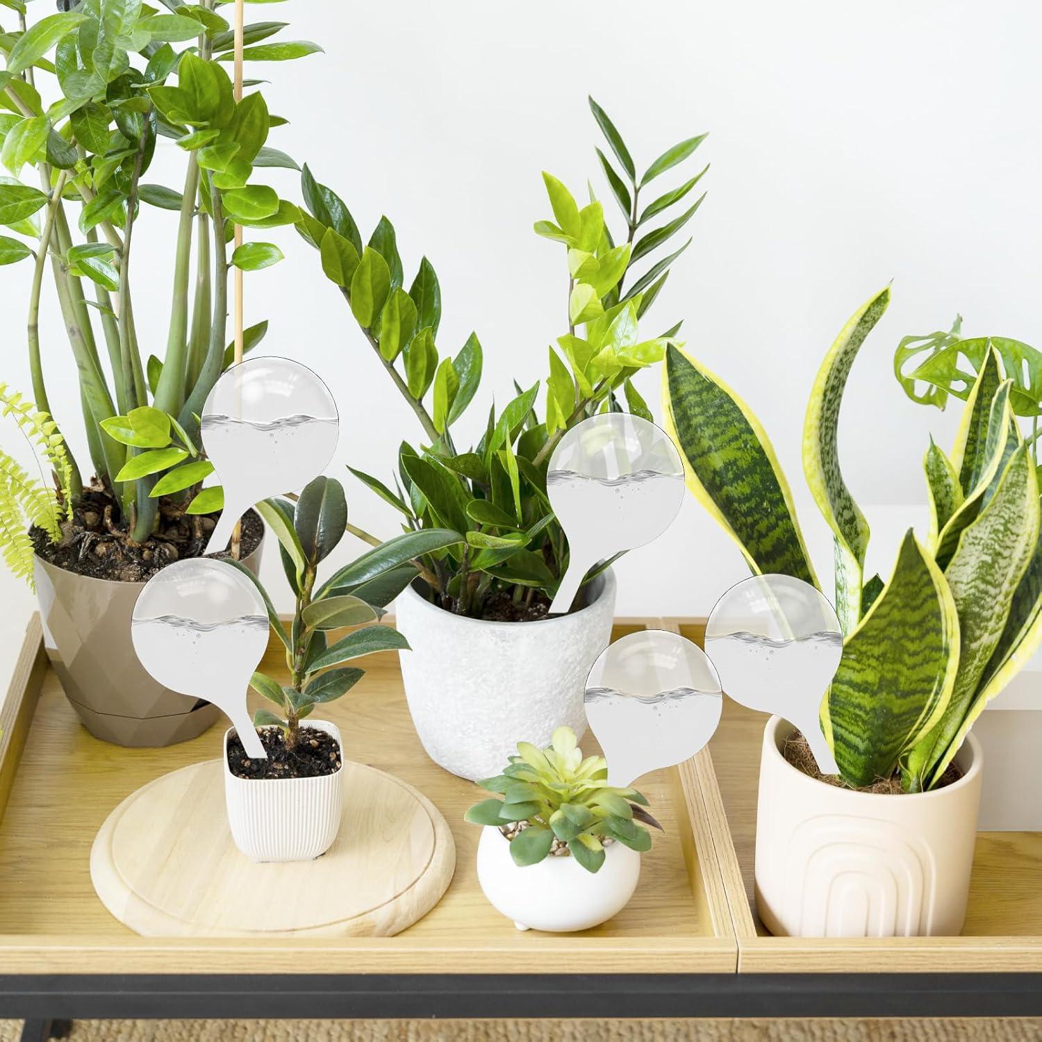 12 Bombillas de Riego Automático Cmaqpw para Plantas 21 cm