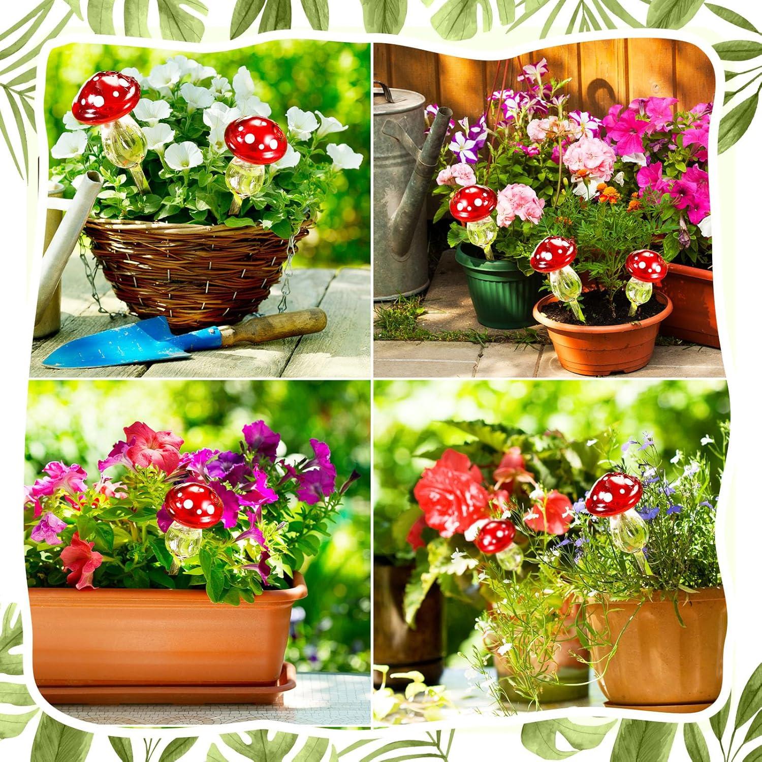 Weysat 4 Esferas de Riego Automático de Vidrio para Plantas