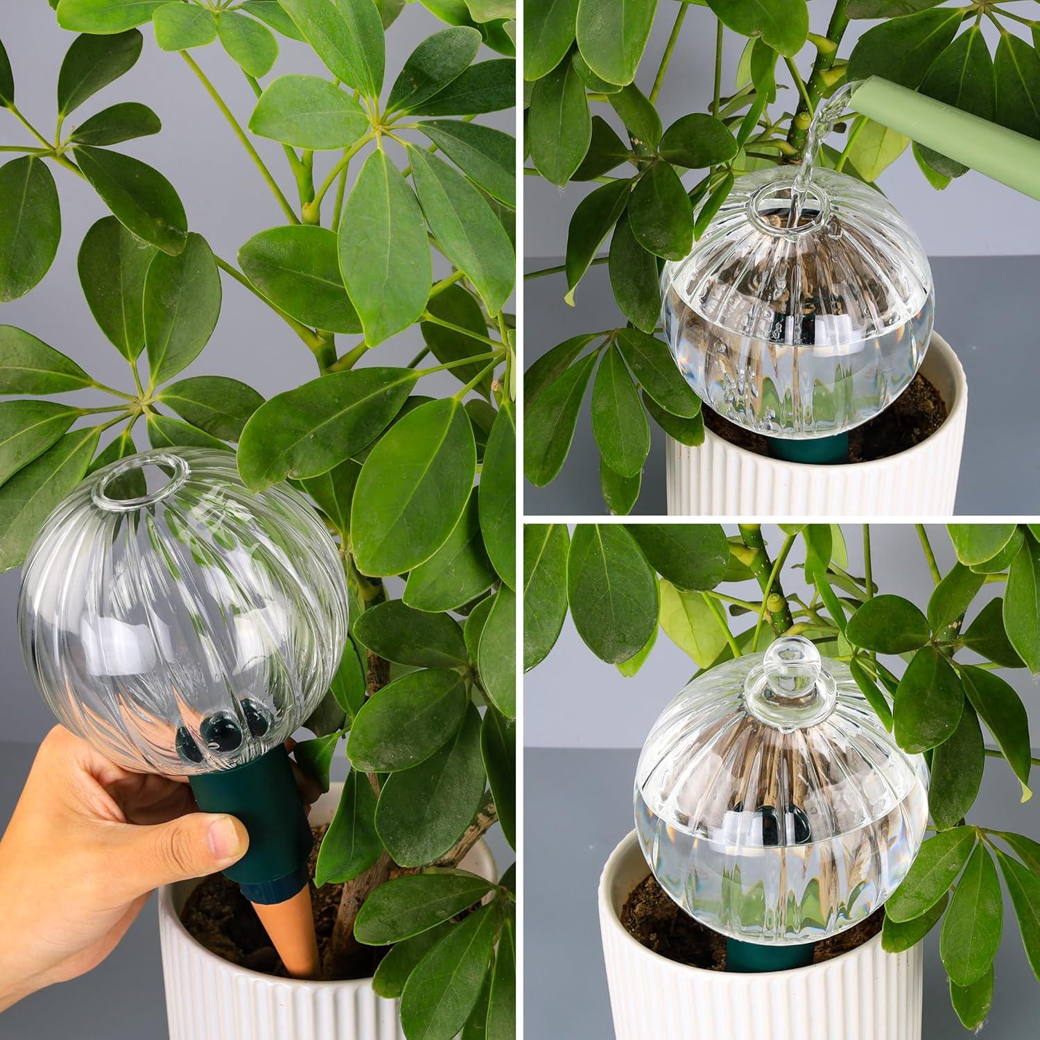 Esferas de Riego Soilagua 23 oz Vidrio Transparente Autorriego