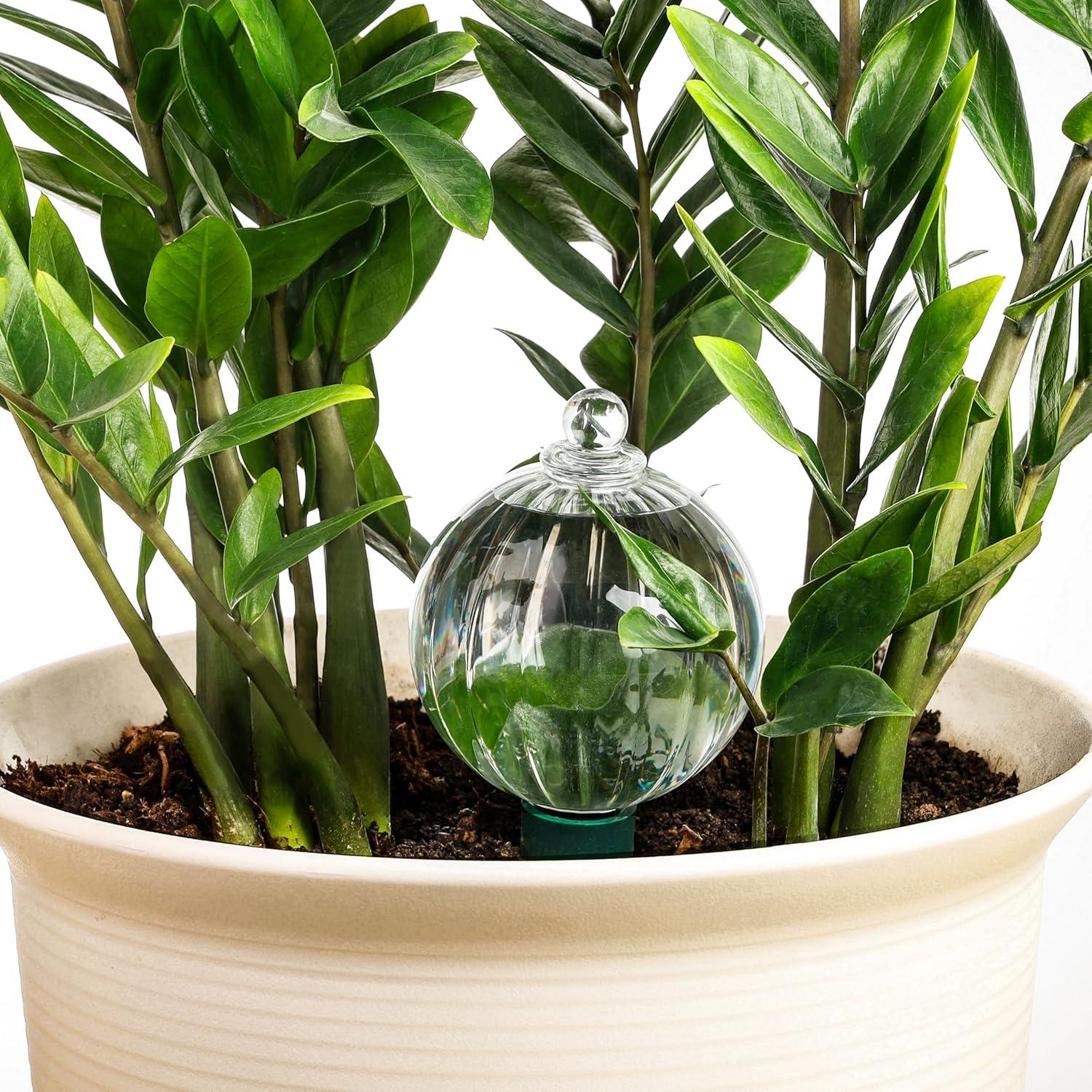 Esferas de Riego Soilagua 23 oz Vidrio Transparente Autorriego