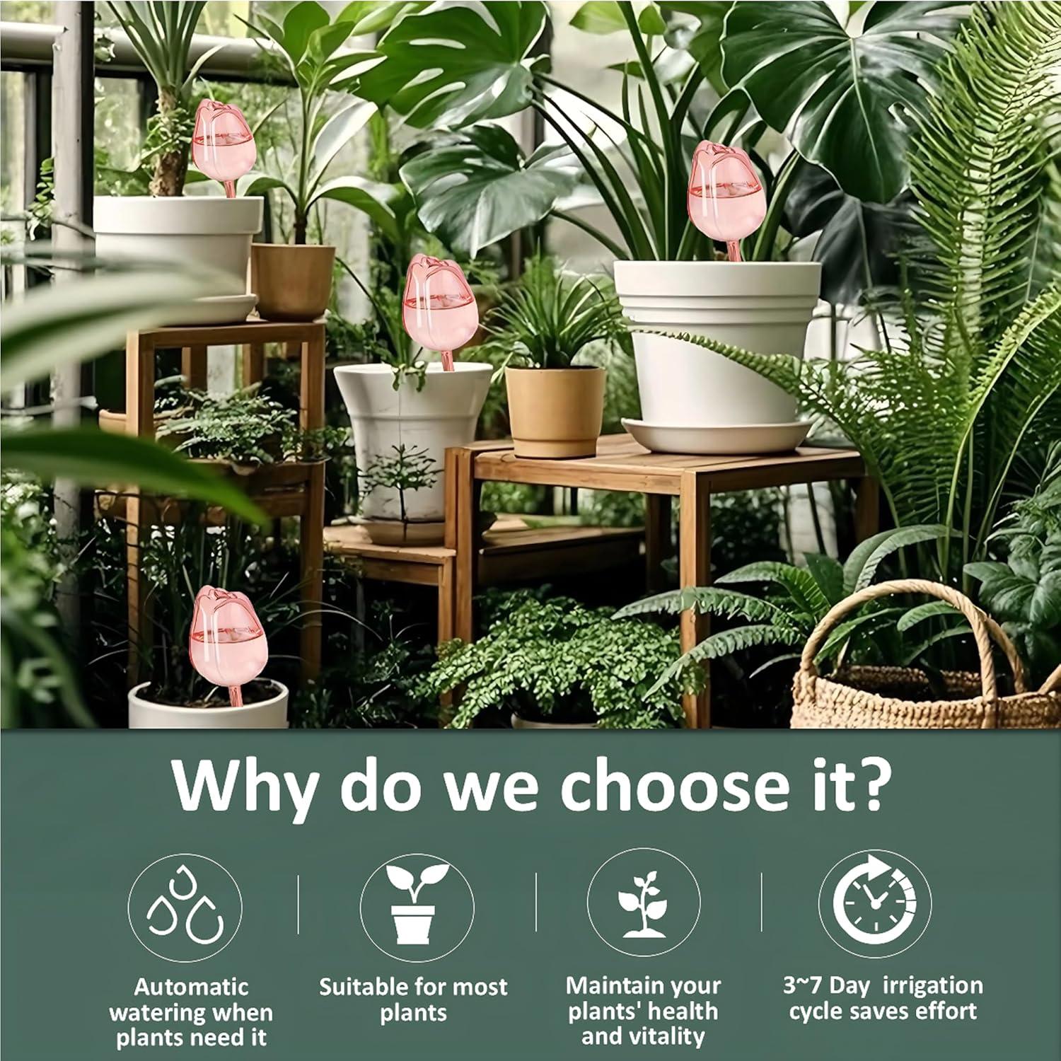 Juego de 2 Esferas de Riego Tulipán LifeEase - Autorriego para Plantas