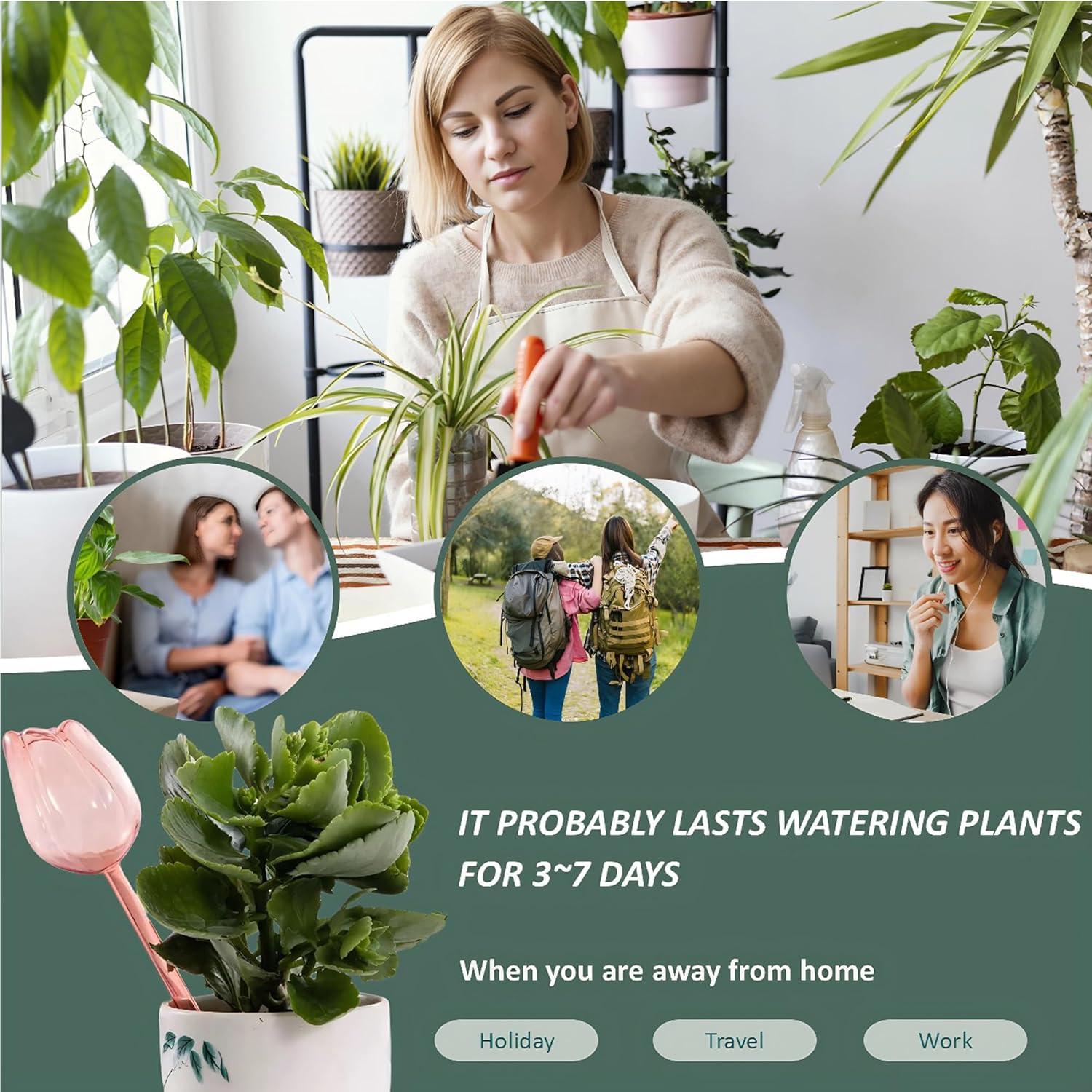 Juego de 2 Esferas de Riego Tulipán LifeEase - Autorriego para Plantas