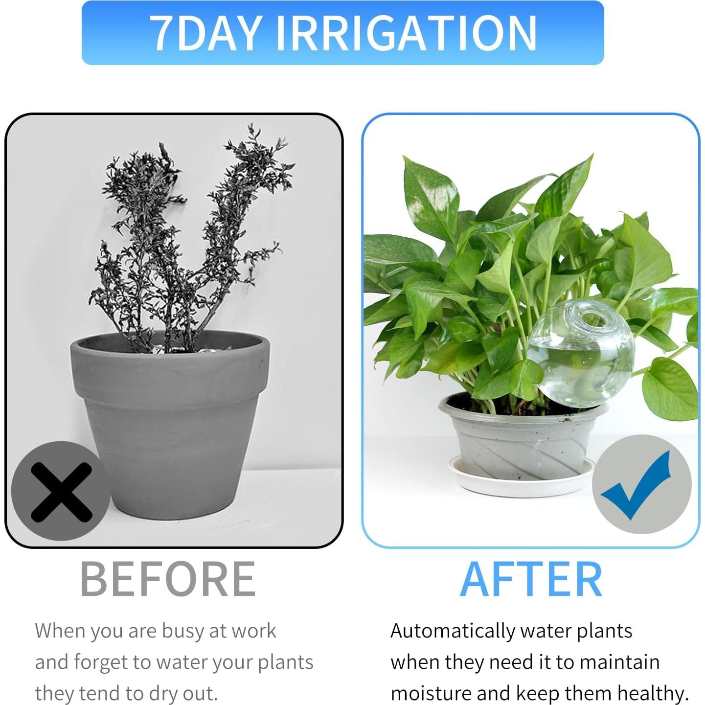 Esferas de Riego Automático NEAMVCT para Plantas - 230g