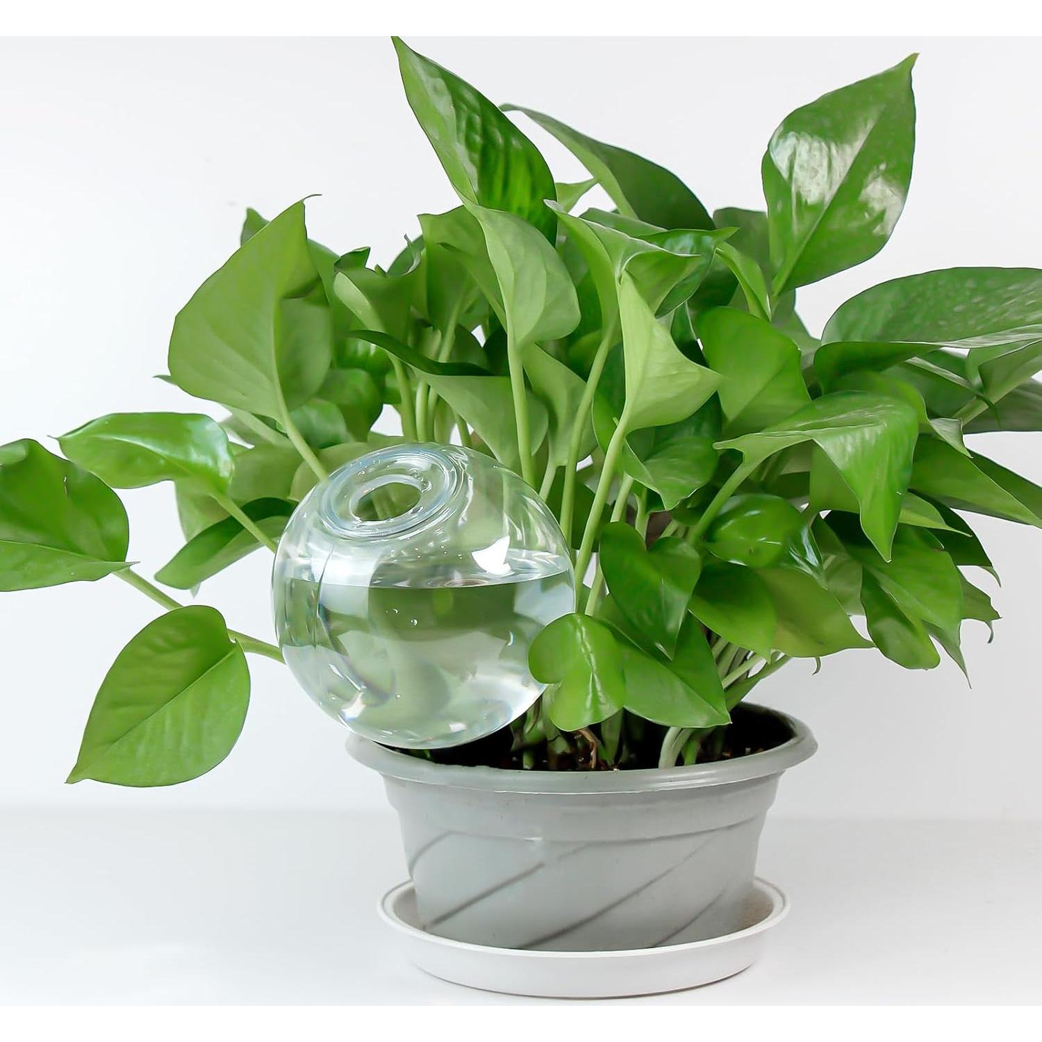 Esferas de Riego Automático NEAMVCT para Plantas - 230g