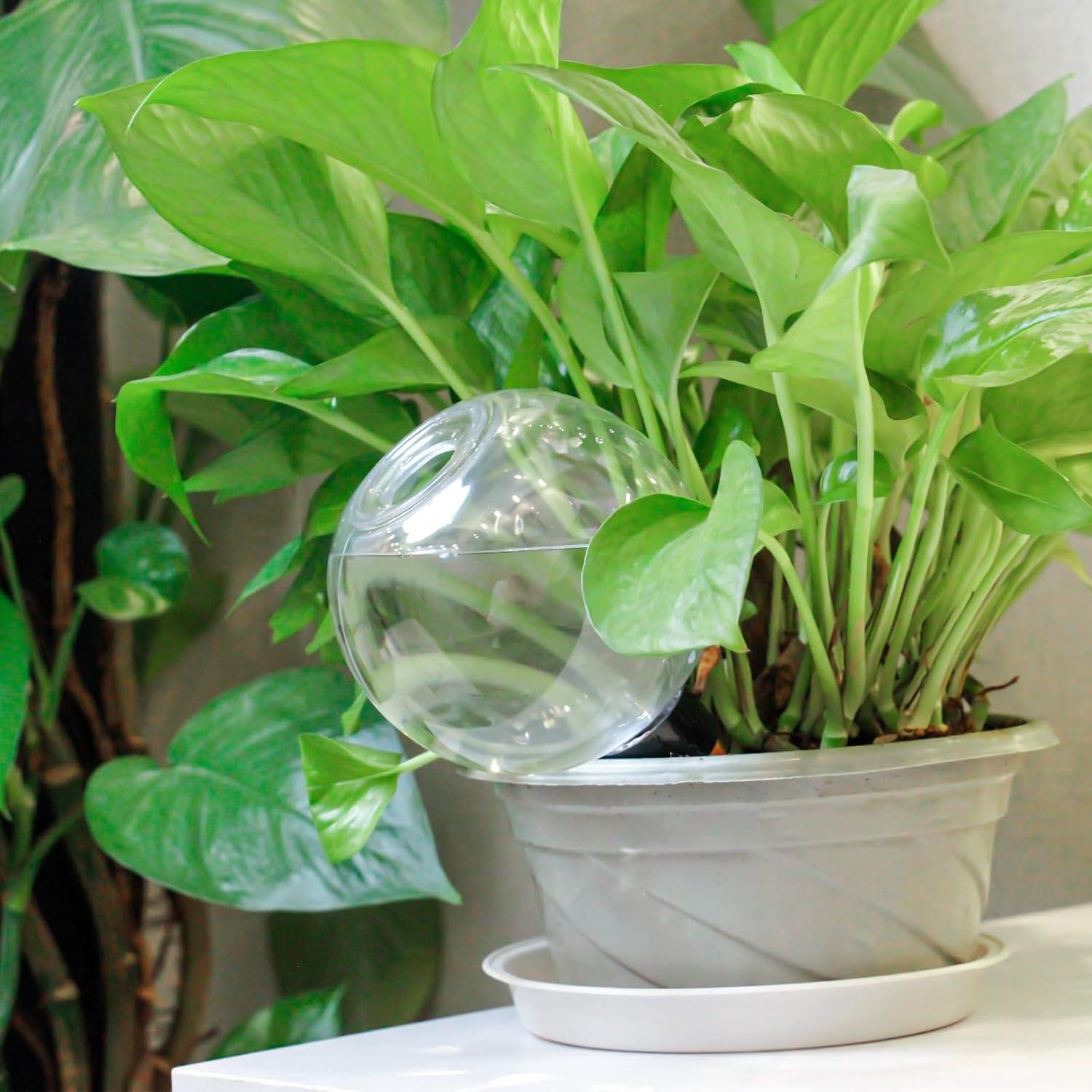 Esferas de Riego Automático NEAMVCT para Plantas - 230g