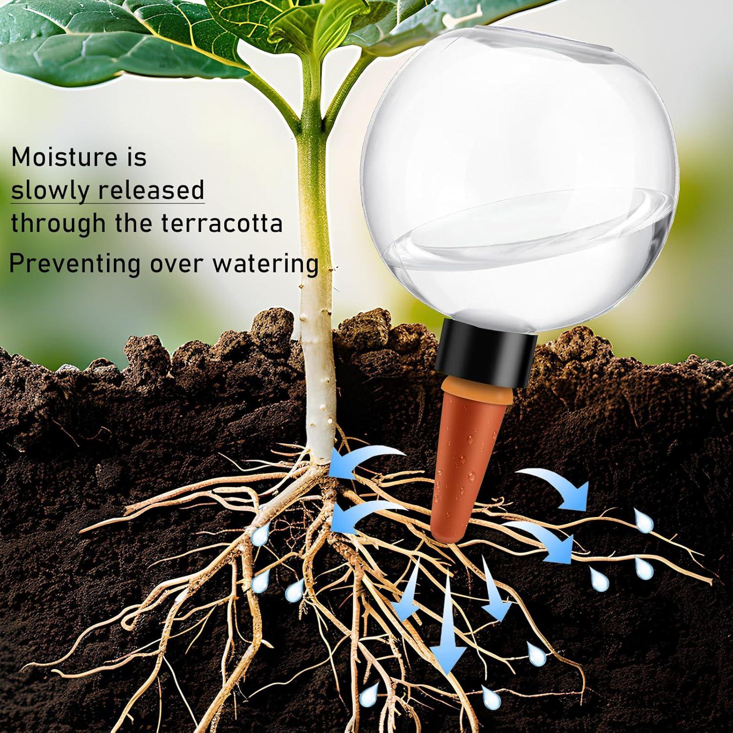 Esferas de Riego Automático RIBEED 2pcs 500ml para Plantas