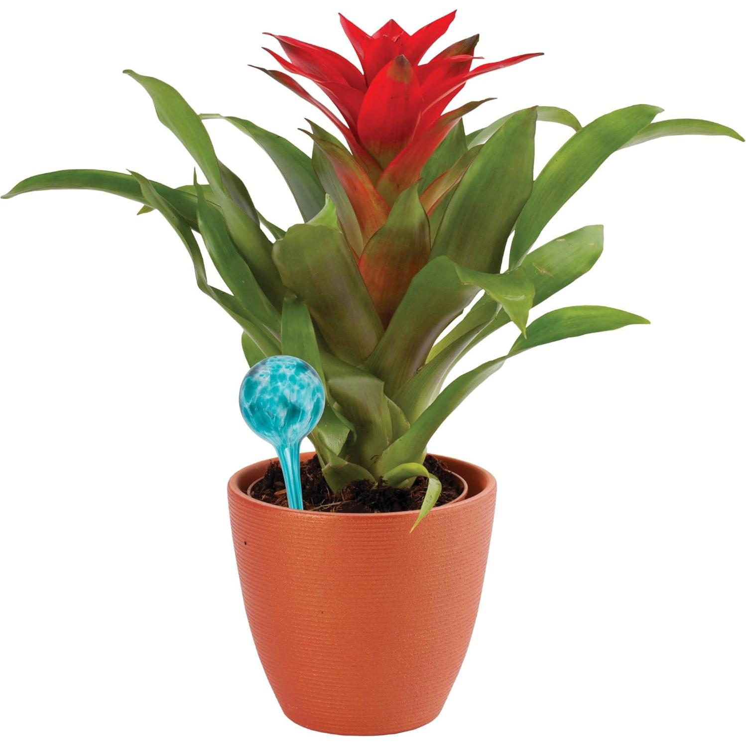 Juego de 3 Esferas de Riego de Vidrio Soplado Wyndham House