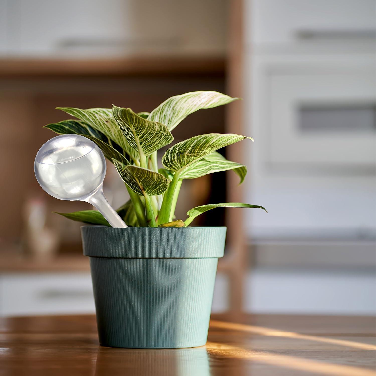 12 Bombillas de Riego Automático Klhamky para Plantas