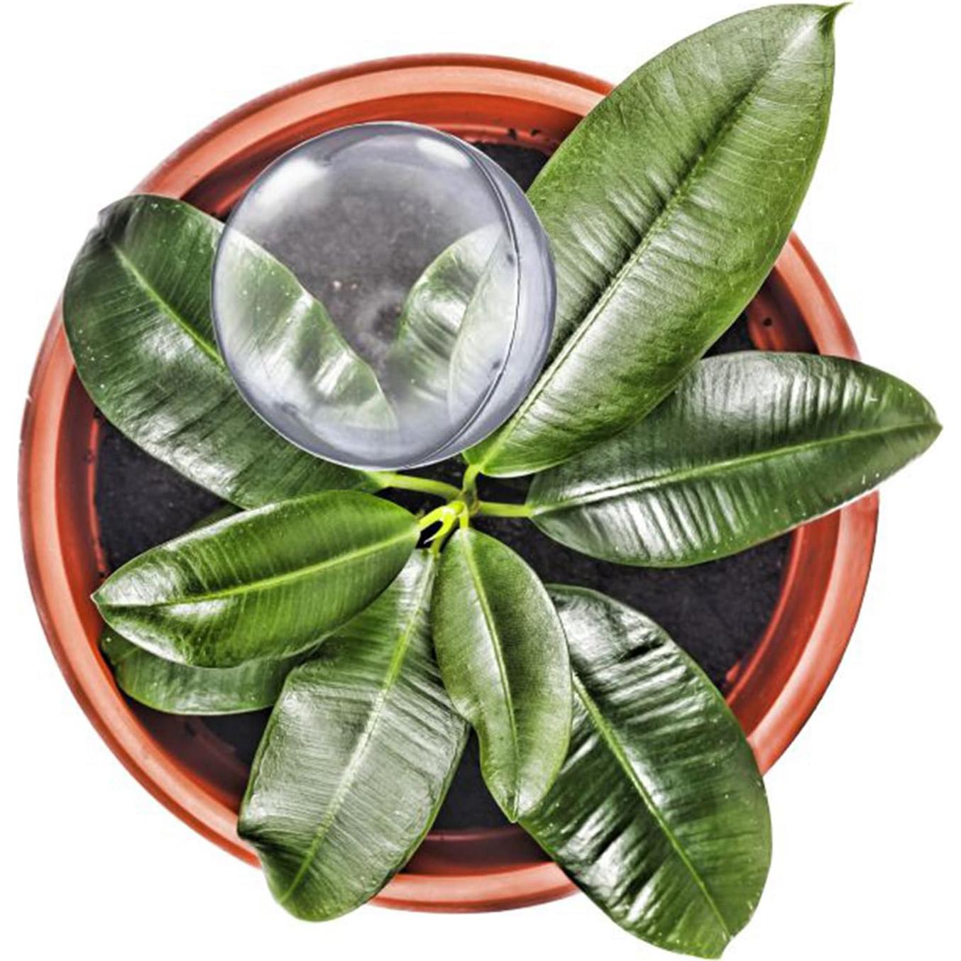 12 Bombillas de Riego Automático Klhamky para Plantas